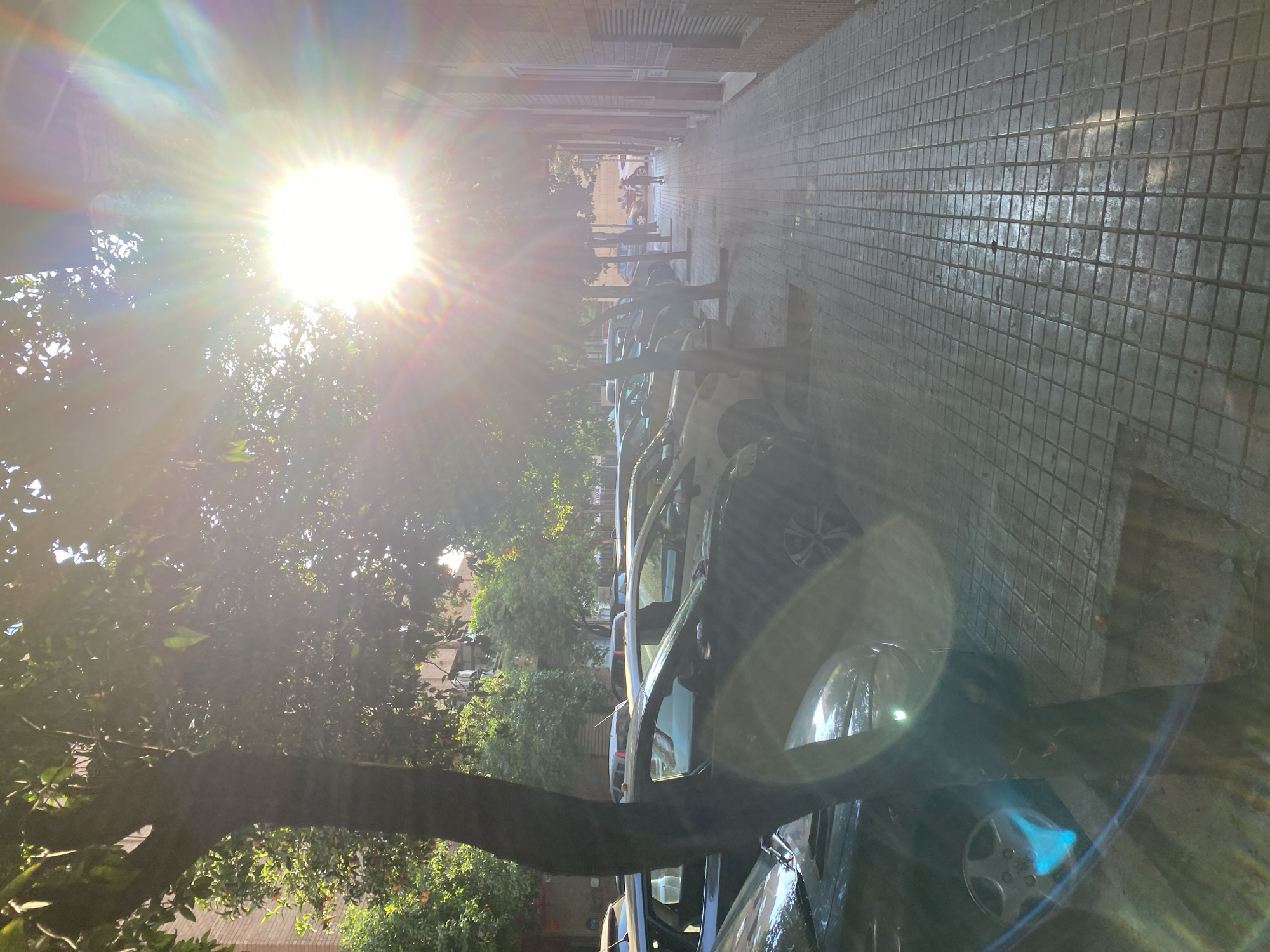 A bright sunbeam streams into a narrow street lined with parked cars and buildings. The sun, positioned in the upper left of the frame, is a brilliant white orb with radiating light flares and rainbow-like refractions, indicating it's likely mid-morning or late afternoon. Sunlight catches the leaves of a large tree on the left, dappling the scene with light and shadow.
The street is paved with square tiles, forming a grid pattern that recedes into the distance. Several cars are parked along the right side of the street, their reflections shimmering on their surfaces due to the bright sunlight. The buildings on the right appear to be multi-story residential structures with brick facades. On the left, beyond the tree, more buildings and greenery are visible.
The overall impression is one of a sunny day in a Mediterranean urban environment. There are no people clearly visible in the frame, but the presence of parked cars suggests it's a residential or commercial area. The bright sunlight and reflections create a slightly hazy, almost dreamlike quality to the image. The rotation of the image suggests it was taken vertically.