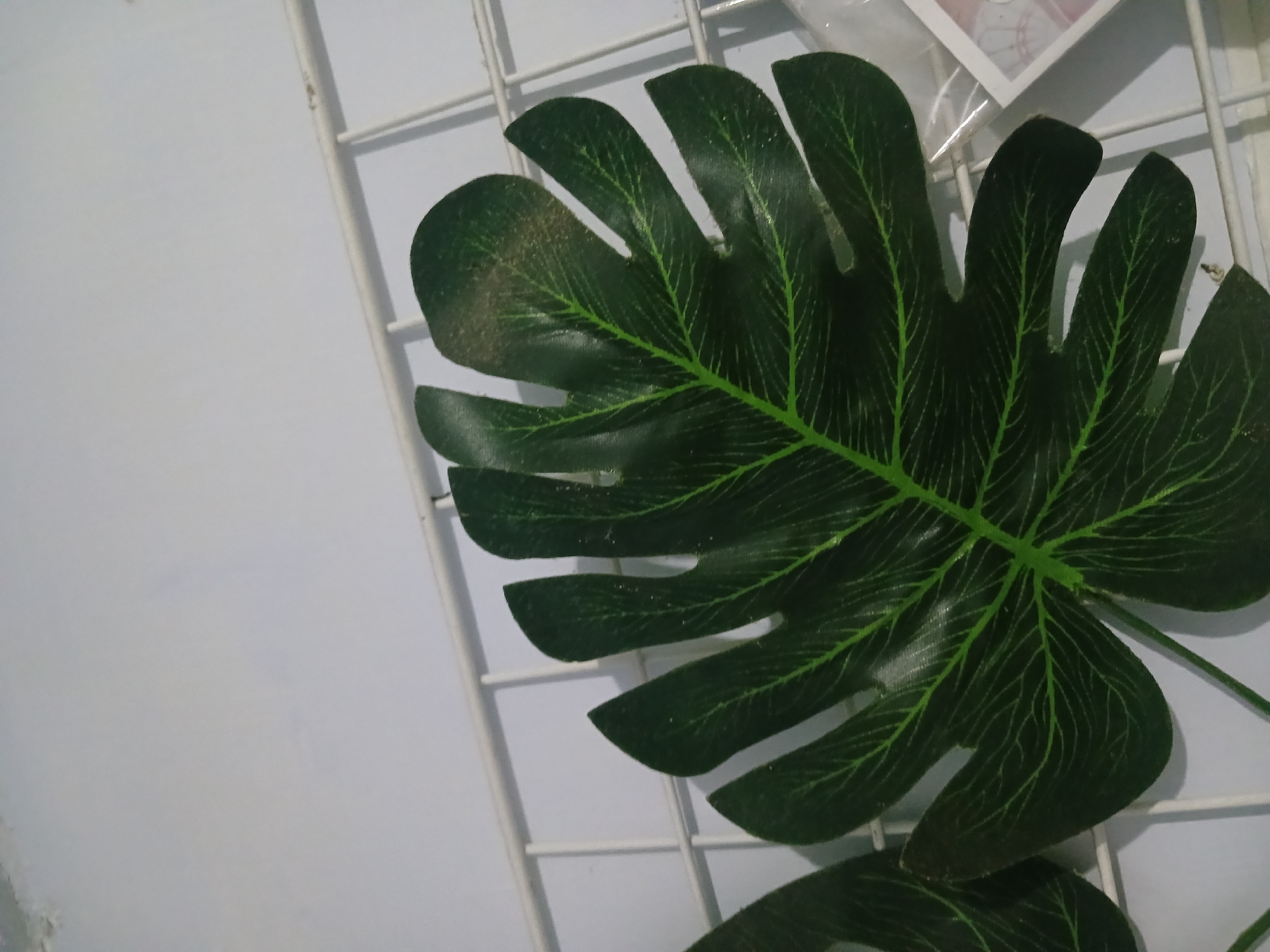 The image captures a close-up view of two artificial Monstera leaves, positioned against a white wire grid that appears to be mounted on a wall. The leaves are a deep green with prominent lighter green veins, indicating a stylized, decorative representation of the plant. One leaf is larger and more central, displaying its characteristic fenestrations (holes). The other leaf is partially visible on the left side. The background is a plain white wall, possibly painted. The overall impression is that of an indoor decorative arrangement. There is no indication of the specific location within Randuagung, Indonesia, beyond the general context provided.