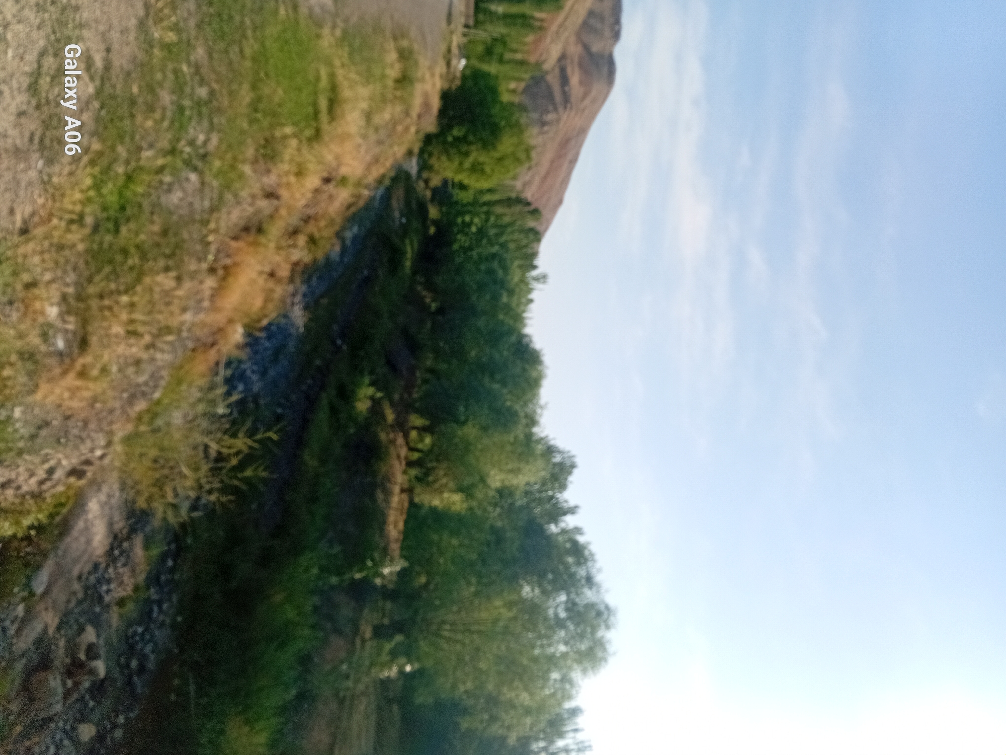 The image depicts a natural landscape with a clear sky and a mountain in the background. In the foreground, there is a dirt road, a stream, and a variety of trees and vegetation. The scene appears to be located in a rural or mountainous area. There are no people or any specific identifiable man-made structures other than the dirt road. The lighting suggests it is daytime, likely morning or late afternoon given the angle of the sun. The overall impression is one of a serene, undeveloped natural environment.