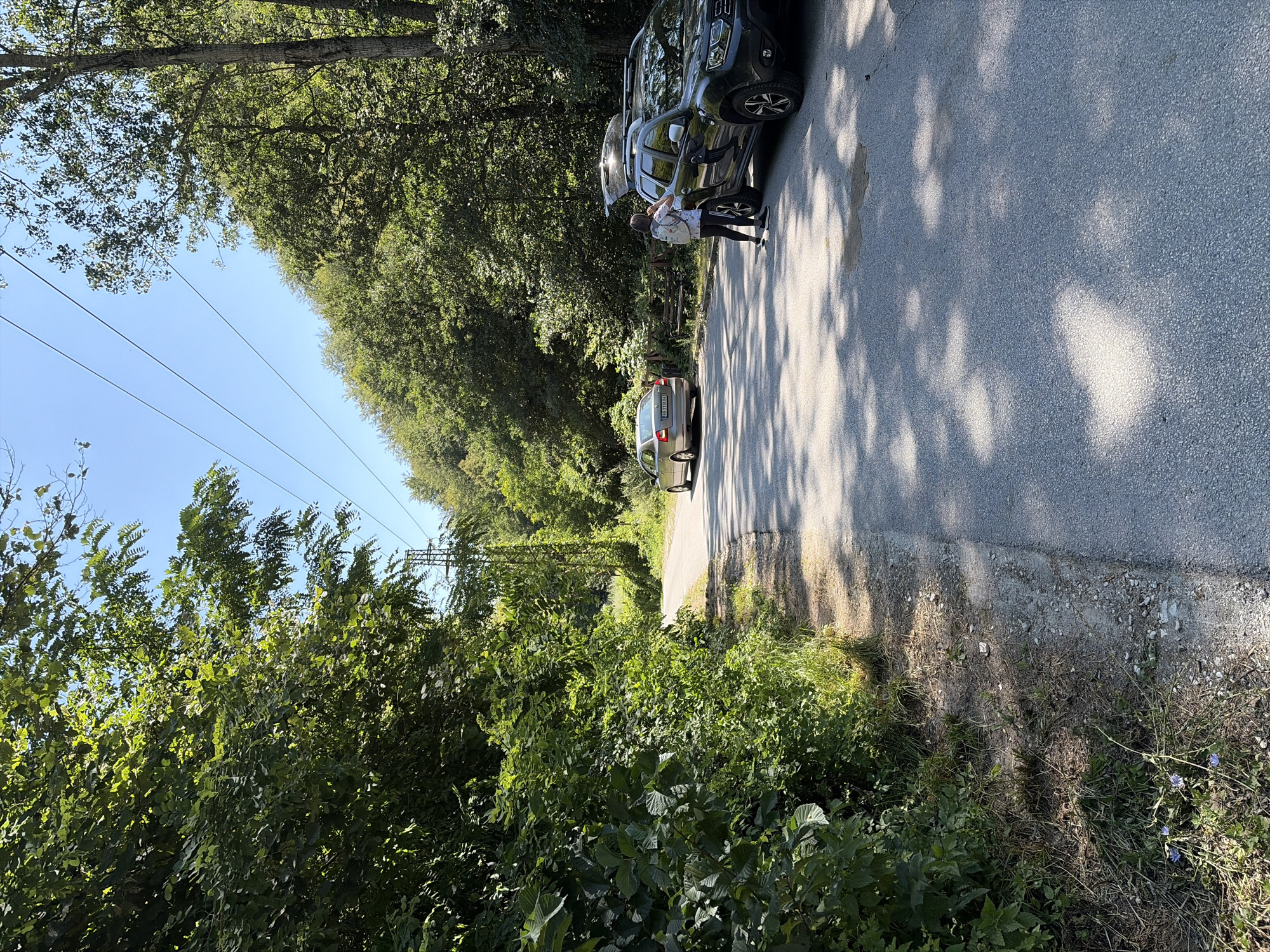 The image depicts a paved road winding through a dense, green forest on a sunny day. On the right side of the road, two vehicles are parked. A dark-colored SUV with its rear hatch open is positioned closer to the foreground, and a lighter-colored sedan is parked further down the road. A person, viewed from the back, stands next to the SUV, appearing to be interacting with its contents. The environment is characterized by lush trees and foliage lining both sides of the road. The sky is clear and blue, with power lines visible stretching across the frame. The road surface shows dappled shadows from the surrounding trees. The scene appears to be a scenic stop or a trailhead within the natural landscape surrounding Devin, Bulgaria.