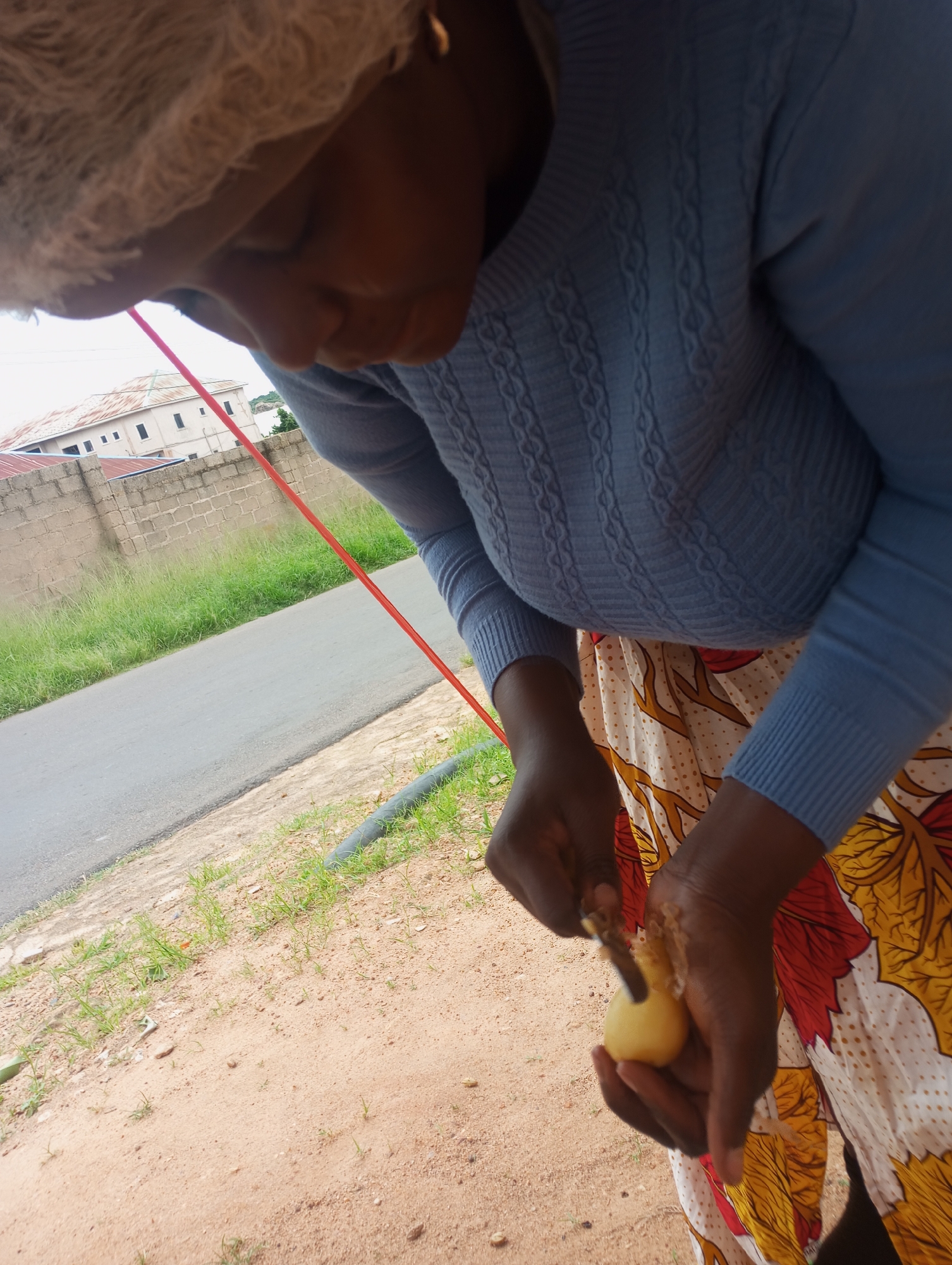 In Jos, Nigeria, a person wearing a blue cable-knit sweater and a white hairnet is peeling a small, yellow fruit, possibly a plum or apricot, with a knife. The person is standing on a dirt and sandy ground, with sparse green grass growing. In the background, a gray paved road runs diagonally, bordered by more grass and a low brick wall. Beyond the wall, there are buildings with red roofs and pale walls. A thin red string is visible, running diagonally across the image, from the top left to the bottom right.
