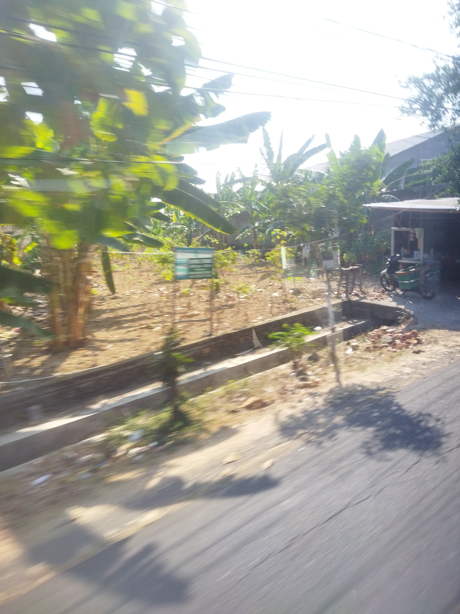 The image shows a blurry outdoor scene, likely taken from a moving vehicle, in Nambangan, Indonesia. Lush green foliage, possibly banana trees, dominates the left side of the frame. A dirt path or undeveloped area is visible in the middle ground, with some sparse vegetation. A low concrete structure, possibly a drain or planter, runs horizontally across the lower portion of the image. In the background, a building with a corrugated roof can be seen, partially obscured by trees. A motorcycle with a green cargo box is parked near the building. The overall impression is a snapshot of a rural or semi-rural area on a bright, sunny day.