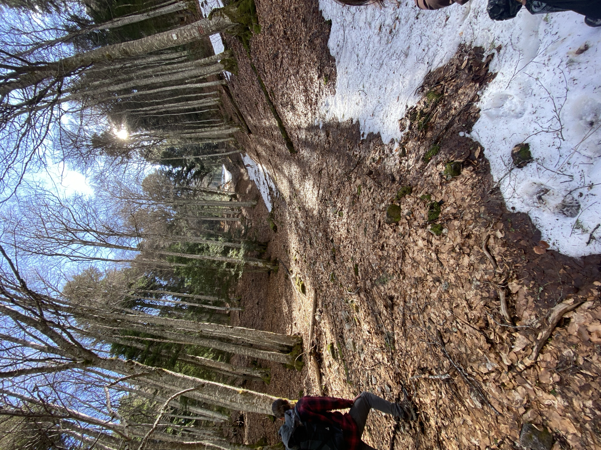 The image depicts a forest landscape near Saint-Michel-les-Portes, France. The ground is covered with brown leaves and patches of snow. The sun is visible through the bare branches of the trees. A person wearing a red plaid shirt and carrying a backpack is walking along the forest path.