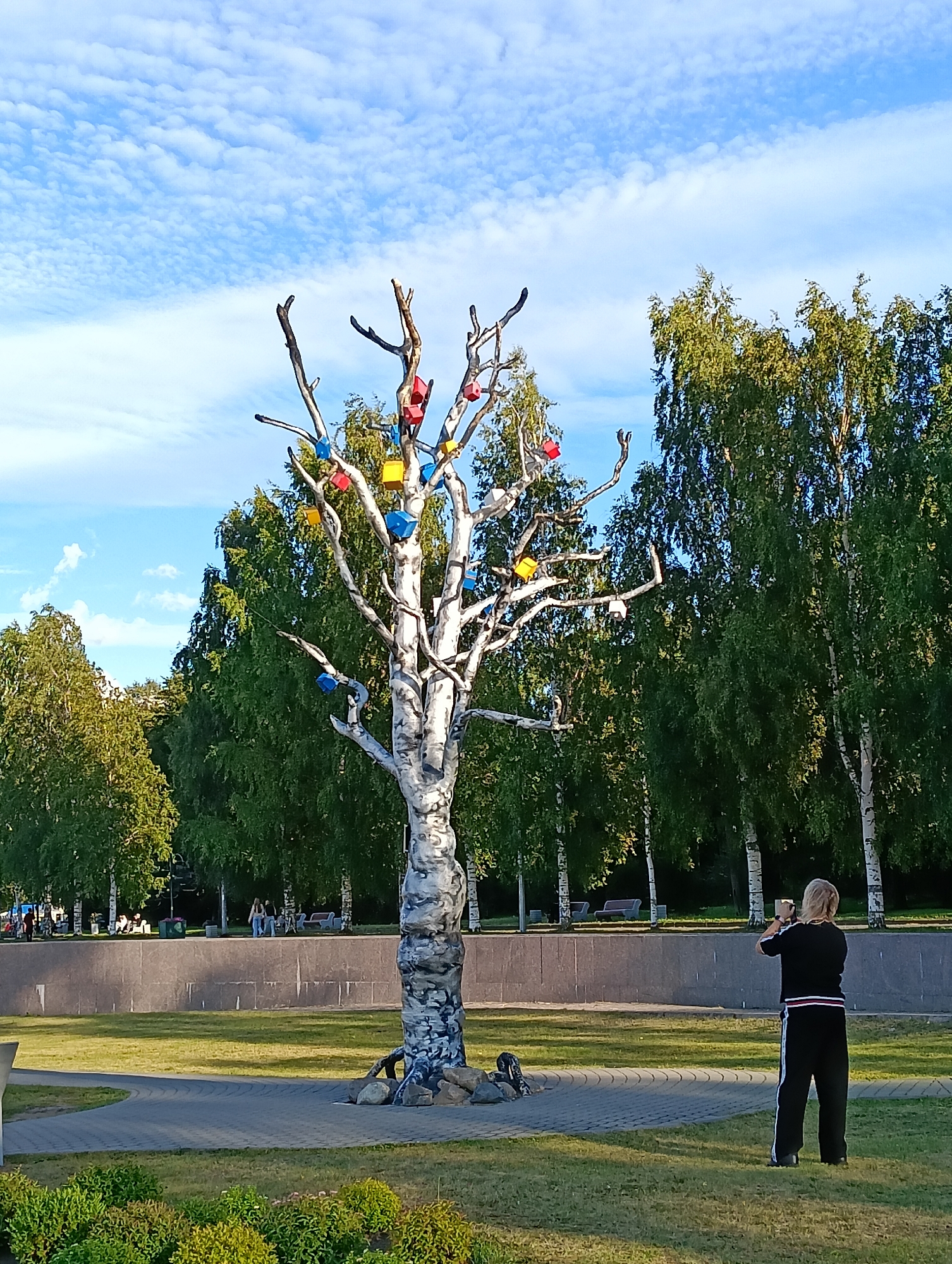 The image shows a sculpture of a bare tree adorned with colorful, cube-shaped objects, likely birdhouses, in a park. A person is standing in the foreground, facing away from the camera, and appears to be taking a photograph of the sculpture with a phone. The park features a paved walkway, a grassy area, and a backdrop of lush green trees. In the background, more trees and a wall structure are visible, with other park-goers relaxing on benches. The sky is blue with scattered white clouds. This scene is located in the area of the Onega Embankment in Petrozavodsk, Russia.