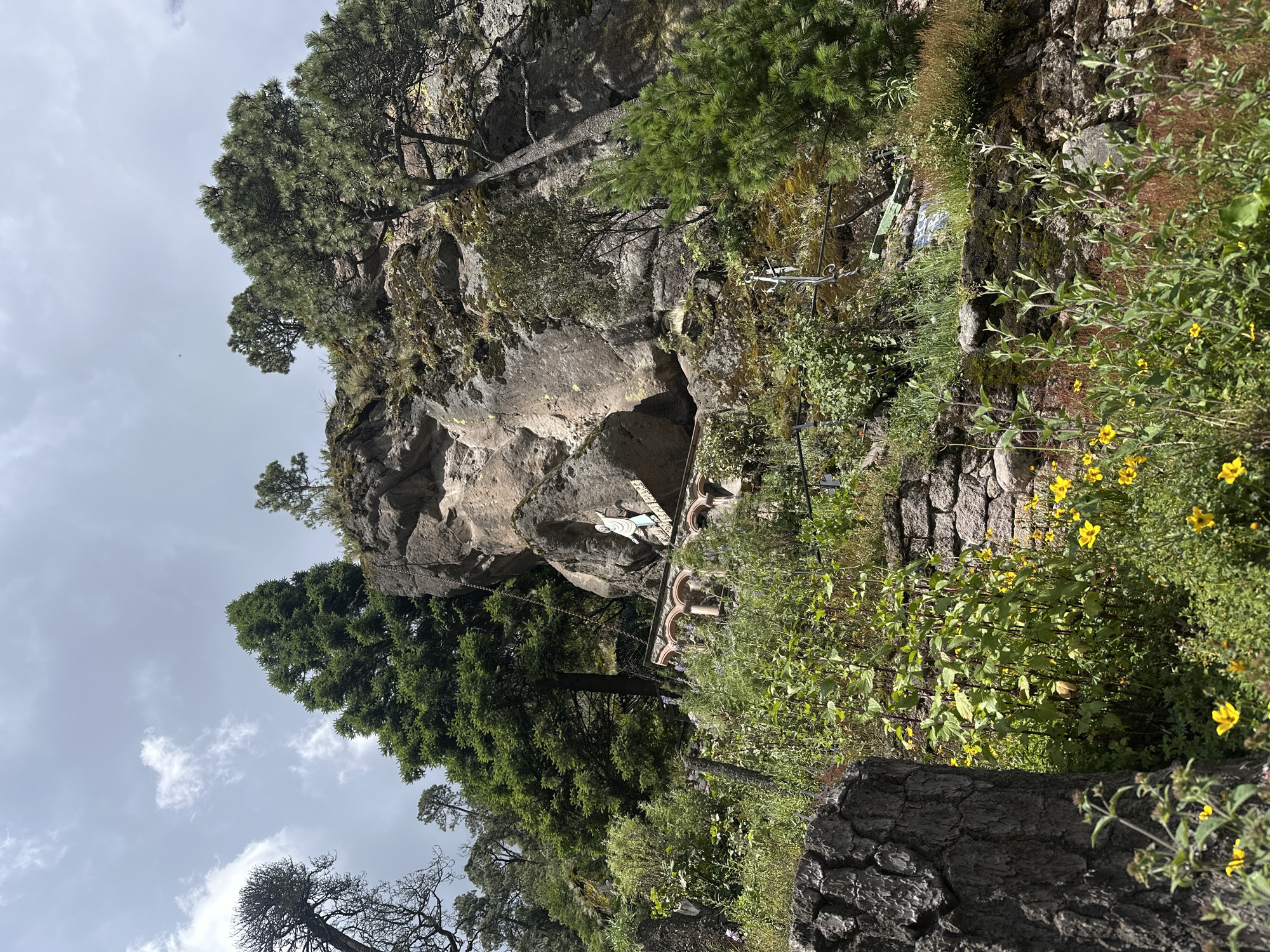 This low-angle, exterior, medium shot captures a rugged, rocky hillside adorned with lush greenery and scattered yellow wildflowers. Dominating the upper portion of the frame is a massive, weathered rock face, textured with varying shades of gray and brown, some areas appearing damp and moss-covered. Perched precariously on the rock face, halfway up, is a small, light-colored statue of a human figure, appearing to be a religious icon. Below the statue, an arched stone structure with multiple evenly spaced arches runs horizontally across the middle ground. The foreground is a dense thicket of various plants, with the most prominent being tall, thin green stalks topped with small yellow flowers, and to the left, a large, dark, textured tree trunk. A stone wall, constructed from irregularly shaped, mortared stones, is visible in the lower right and mid-right sections of the image, partially obscured by vegetation. The sky above is a pale, overcast blue with scattered, wispy white clouds. The overall scene suggests a natural, perhaps sacred, outdoor location within San Mateo Ozolco, Mexico, given the context provided.