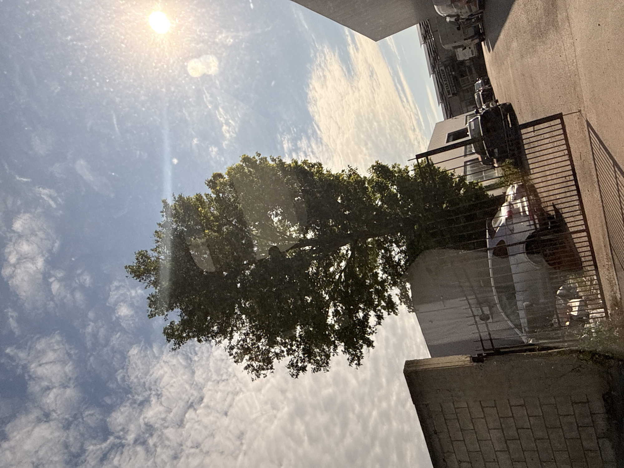 In Varna, Bulgaria, a bright, sunlit scene unfolds within an industrial or commercial area. A large, leafy tree dominates the center of the frame, its branches reaching towards a sky filled with scattered, wispy clouds. The sun, high and bright, creates a lens flare effect in the upper right quadrant of the image. In the foreground, a section of a brick wall and a black metal gate are visible on the left. Beyond the gate, several vehicles are parked, including a white SUV, a dark-colored sedan, and various vans and trucks further down the paved lot. Buildings with flat roofs, some appearing to have solar panels, line the right side of the lot. A sign with Cyrillic text is affixed to one of the buildings. The overall impression is one of an active, daytime scene in an open, utilitarian space.
