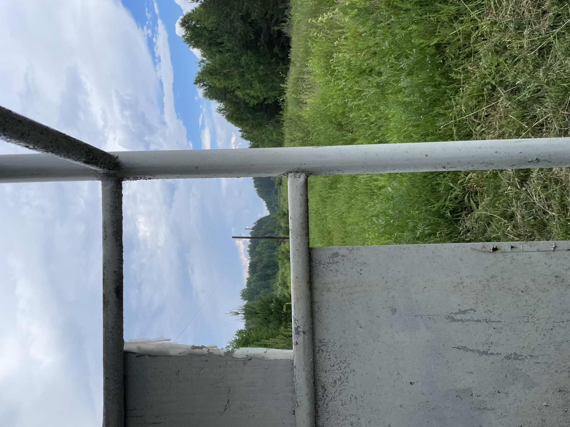 An outdoor scene in the village of Prudy, Russia, features a close-up view of weathered, painted metal structures in the foreground, partially obscuring a lush, green field and a distant, dense forest under a cloudy sky. The metal elements, likely part of a weathered structure or fence, exhibit peeling paint and visible rust in some areas. A horizontal pipe runs across the middle of the frame, and a vertical pipe extends upwards on the right side. Beyond these man-made elements, the field is filled with tall, vibrant green grasses and some scattered wildflowers. The forest in the background is a dark green mass of trees, with a few lighter green young pines visible in the mid-ground. A power line and two utility poles are discernible against the horizon. The sky is a mix of grey clouds and patches of blue, suggesting a potentially changeable weather day. There are no people or animals visible in the image.