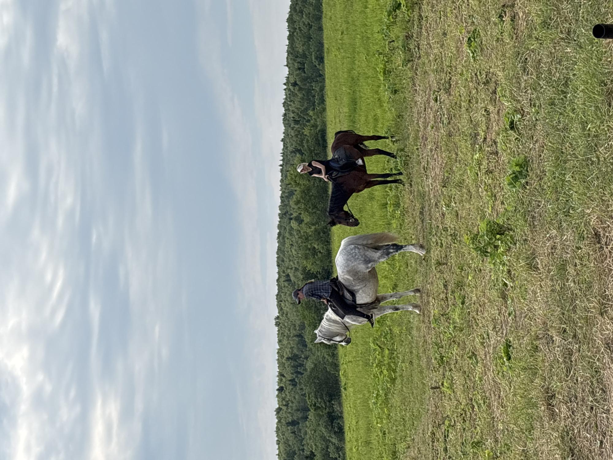Two individuals are horseback riding in a grassy field with a treeline in the background. The individual on the left is riding a white horse and is wearing a plaid shirt and a baseball cap. The individual on the right is riding a brown horse and is wearing a black shirt and a visor. The sky is overcast with scattered clouds. The location is Semenkovo, Russia.