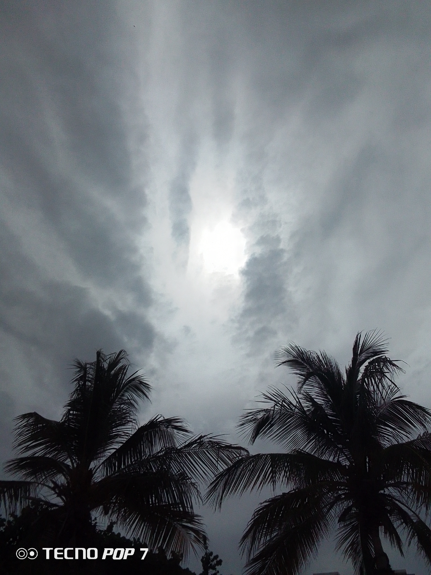 The image captures a view of the sky dominated by dark, overcast clouds, with a bright area indicating the sun struggling to break through. The silhouettes of two palm trees frame the bottom of the image, their fronds appearing dark against the grey sky. The scene conveys a sense of impending rain or a cloudy day. Based on the camera watermark "TECNO POP 7," this is likely a photograph taken with a mobile phone camera. The location is assumed to be in Pedro González, Venezuela, based on prior instruction. The image contains no people.