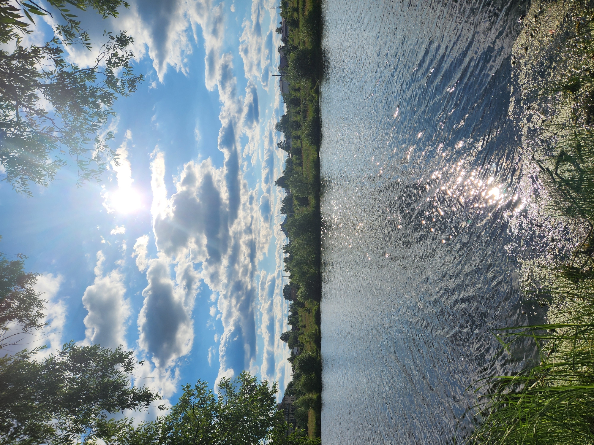 This is a landscape photograph taken outdoors in Vniissok, Russia. The image depicts a body of water, likely a pond or small lake, with the sun shining brightly in the sky. The sky is filled with fluffy white clouds against a vibrant blue backdrop. Sunlight reflects off the water's surface, creating a shimmering effect. The shoreline is lined with lush green trees and vegetation, including tall grass on the right side of the frame. In the distance, houses and other structures can be seen nestled amongst the trees, suggesting a rural or semi-rural setting.
The time of day appears to be midday or early afternoon, given the strong sunlight and bright conditions. The weather is sunny with scattered clouds, indicating a pleasant day. The overall mood of the image is serene and tranquil, evoking a sense of natural beauty and peace. There is no visible text in the image. The photograph is oriented vertically, with the sky occupying the left half and the water and shoreline on the right.