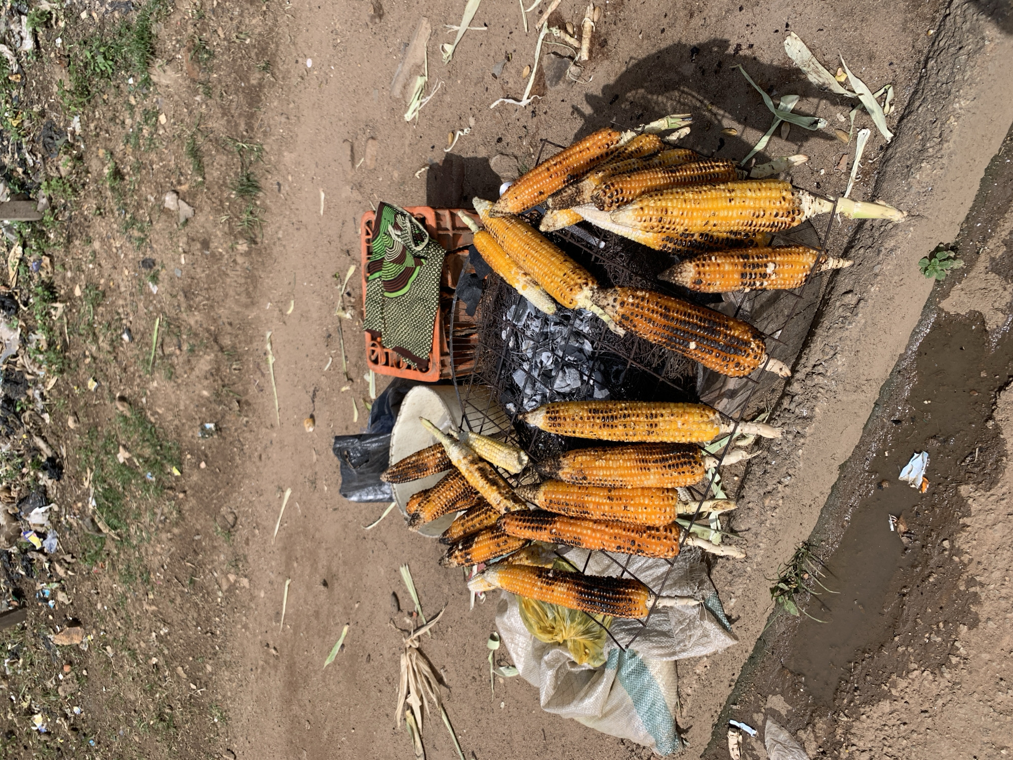 In Jos, Nigeria, a collection of grilled corn cobs are laid out on a metal grate over coals. The corn, varying in shades of yellow and orange, shows signs of charring. Behind the corn, a white bucket and an orange plastic crate, adorned with a green and brown patterned cloth, are visible. The ground is a mixture of dirt and small stones, with some scattered plant debris. A dirty ditch with murky water runs along the bottom of the frame, and to the left, a portion of a white woven sack is visible. The scene is outdoors, under natural light, with shadows indicating a sunny day.
