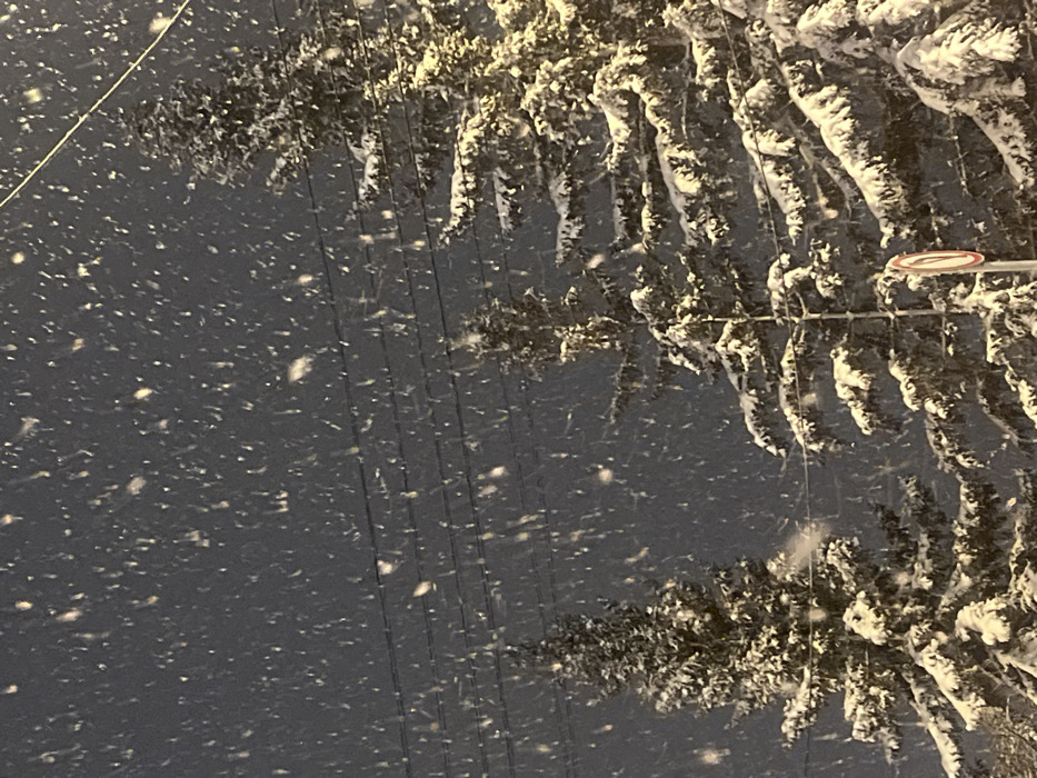 This image depicts a nocturnal winter scene characterized by heavy snowfall within an urban or semi-urban environment of Krasnoyarsk, Russia. The specific street or precise location within Krasnoyarsk is not discernible from the visual information.
The foreground and midground are dominated by several coniferous trees, heavily laden with fresh snow, indicating significant accumulation. Numerous individual snowflakes are visible mid-air, illuminated against a dark, indistinct background, suggesting an ongoing snowfall. Multiple parallel utility lines, likely power or communication cables, traverse the upper-mid section of the frame. In the lower right corner, a portion of a circular traffic sign is visible, featuring a red border around a white center. No individuals, vehicles, or specific human actions or interactions are present in the frame. The scene is illuminated by an unseen artificial light source, which highlights the snow on the trees and the falling flakes.