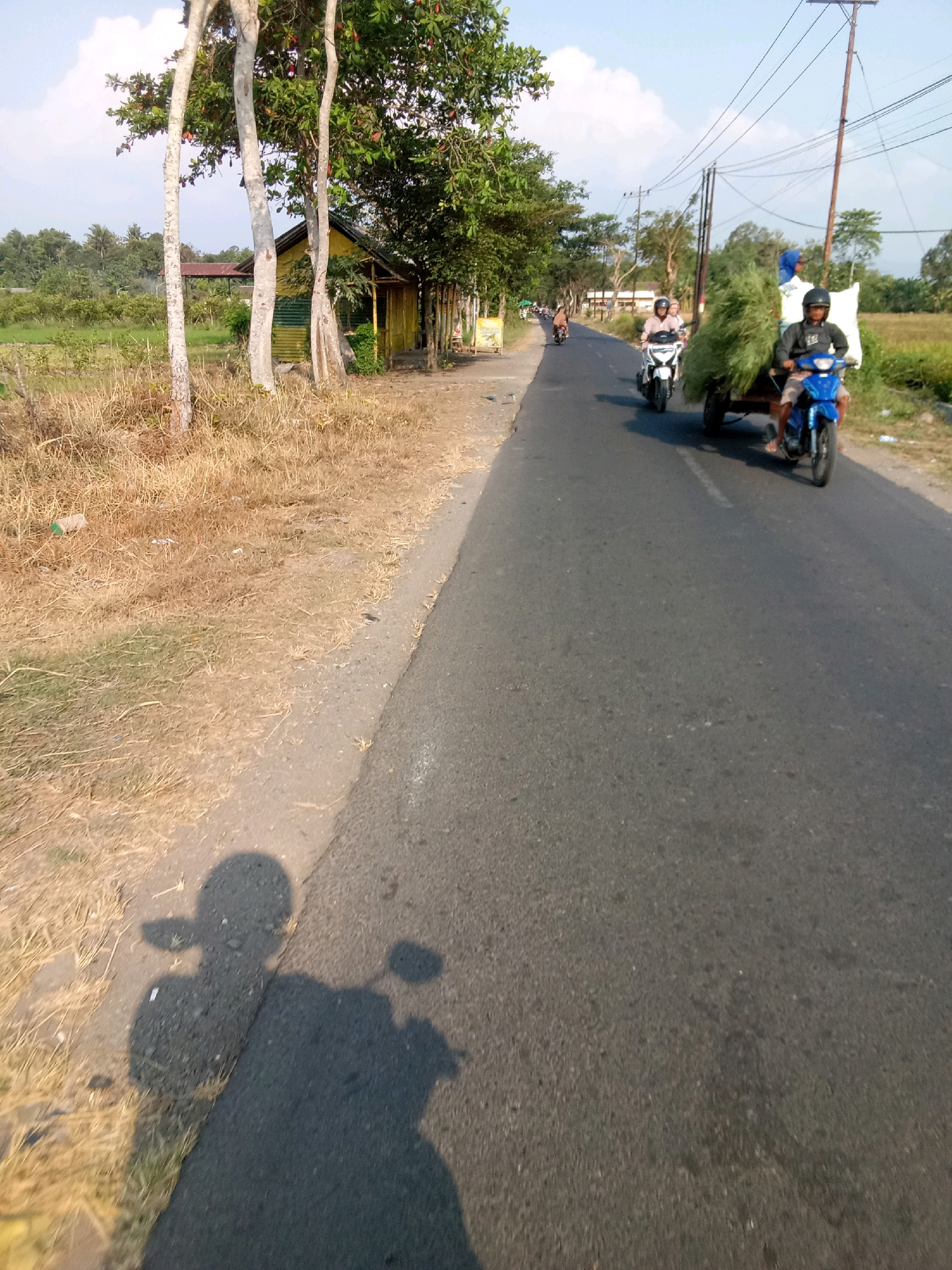 The image captures a sunny day scene on a paved road in Ajung, Indonesia. A motorcycle with a trailer carrying a large load of green foliage is traveling on the right side of the road. The rider of the motorcycle is wearing a helmet and a blue shirt. Another motorcycle with a rider wearing a pink shirt and helmet is following closely behind. To the left of the road, there is dry, brown grass and several trees. A small, yellow and green building with a corrugated metal roof is visible behind the trees. Further down the road, more trees and buildings can be seen. A utility pole with wires is also present on the right side of the road. In the foreground, the shadows of two motorcycles and their riders are cast on the road and the grassy verge. The sky is blue with scattered white clouds.
