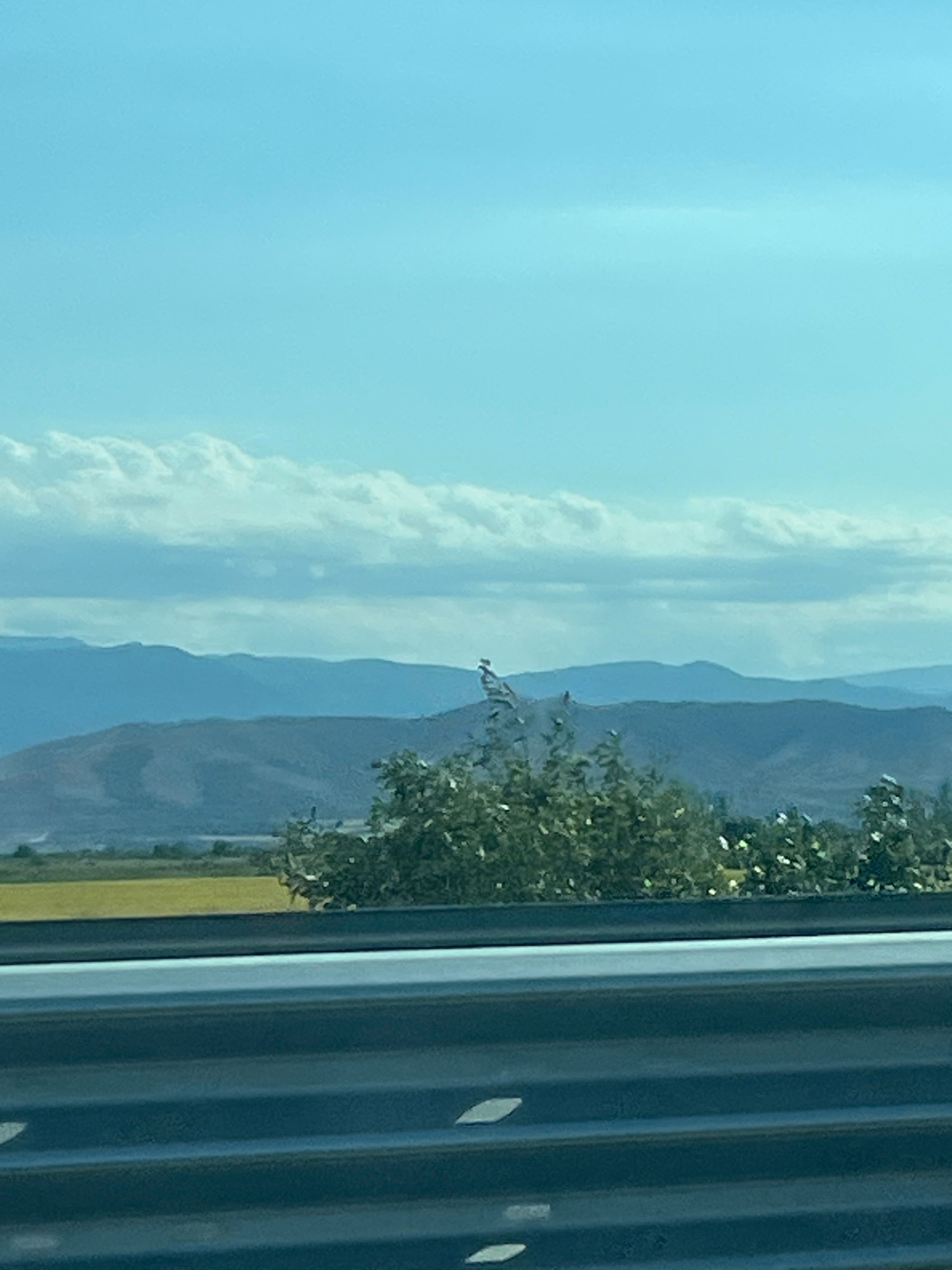 The image shows a landscape with rolling hills and a vast sky. In the foreground, a metal guardrail is visible. Beyond the guardrail, there is a field of yellow crops, followed by lush green vegetation, and then layers of mountains in the distance. The sky is a bright blue with scattered white clouds. The scene appears to be in Malo Konare, Bulgaria, suggesting a rural or semi-rural setting. There are no people or specific activities captured in the image. The lighting suggests it is daytime, possibly late morning or early afternoon.