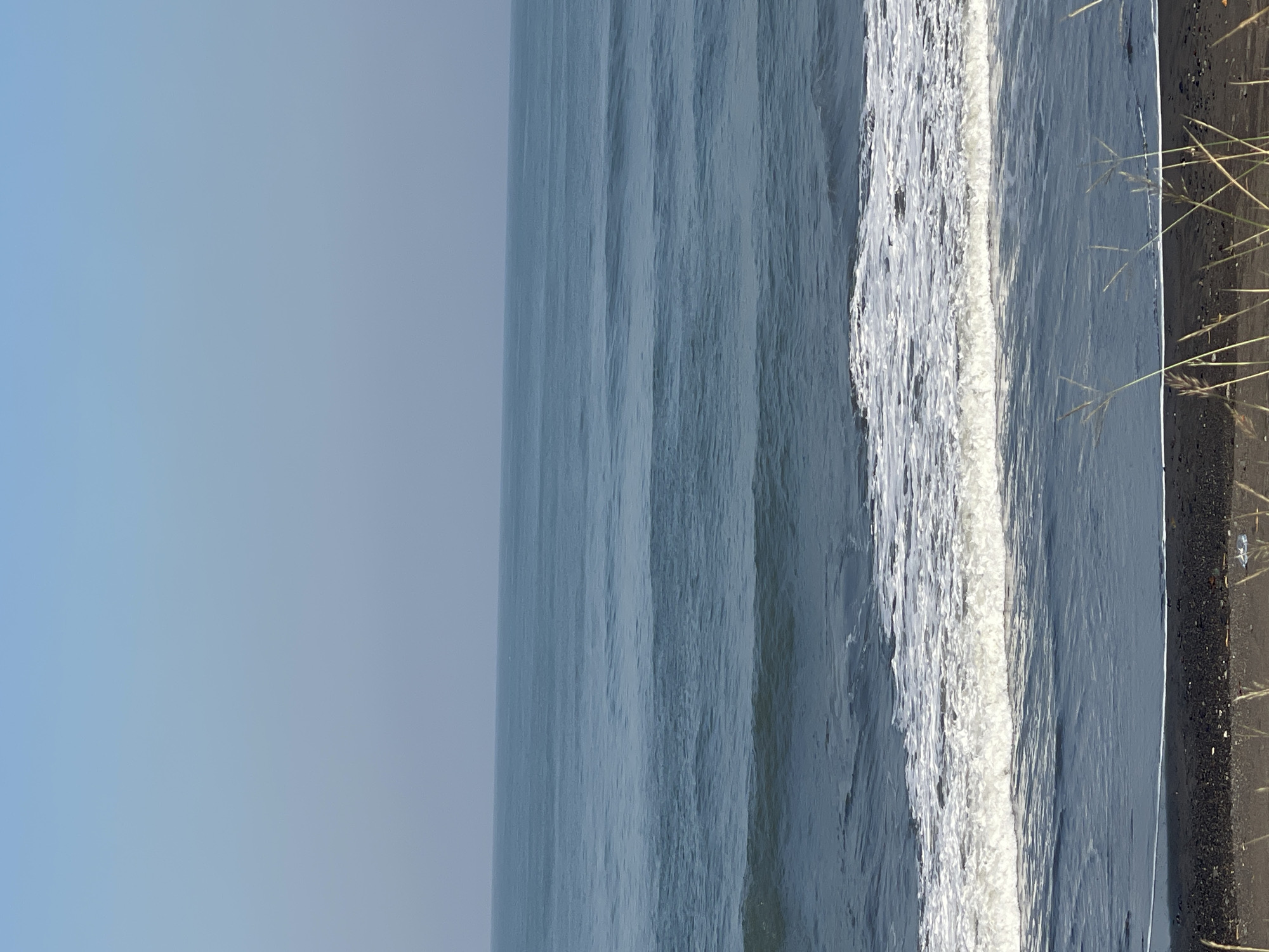 The image displays a serene coastal landscape, horizontally oriented. The upper portion of the frame is dominated by a clear, pale blue sky, gradually lightening towards the horizon. Below the sky, the calm ocean stretches across the majority of the scene, exhibiting a deep blue-grey color. Gentle, parallel lines of waves and ripples are visible on the water's surface, extending horizontally.
Towards the right side, a distinct line of frothy white surf actively breaks, creating a vibrant contrast against the deeper water. This breaking wave leads to a dark, possibly volcanic sand or rocky shore visible along the far right edge of the frame. Sparse, dry, light-colored grass-like vegetation grows on this dark land, with some stalks extending slightly over the water's edge.
The scene depicts a peaceful moment by the sea, likely during the daytime under clear weather conditions, given the soft, natural lighting and the absence of clouds or harsh shadows. There are no people, animals, or man-made objects present, emphasizing the natural beauty and tranquility of the environment. No text is visible in the image. While the location context is Mengwi, Indonesia, there are no specific visual cues within the image itself to confirm this, though the dark sand could be indicative of certain volcanic coastal regions.