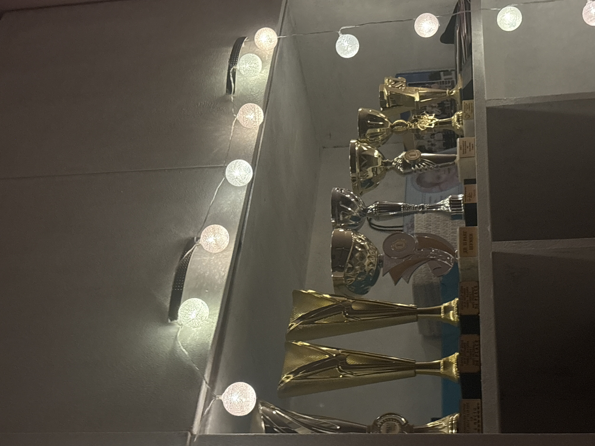 A collection of trophies are displayed on a shelf, illuminated by a string of fairy lights. The trophies are made of gold and silver, with various shapes and sizes. Some of the trophies have engravings on them, indicating achievements such as "1st PLACE" and "2ND PLACE". The fairy lights are round and white, casting a soft glow on the trophies. The background is a neutral gray, suggesting the trophies are on display in a home or office setting. The overall impression is one of accomplishment and celebration.