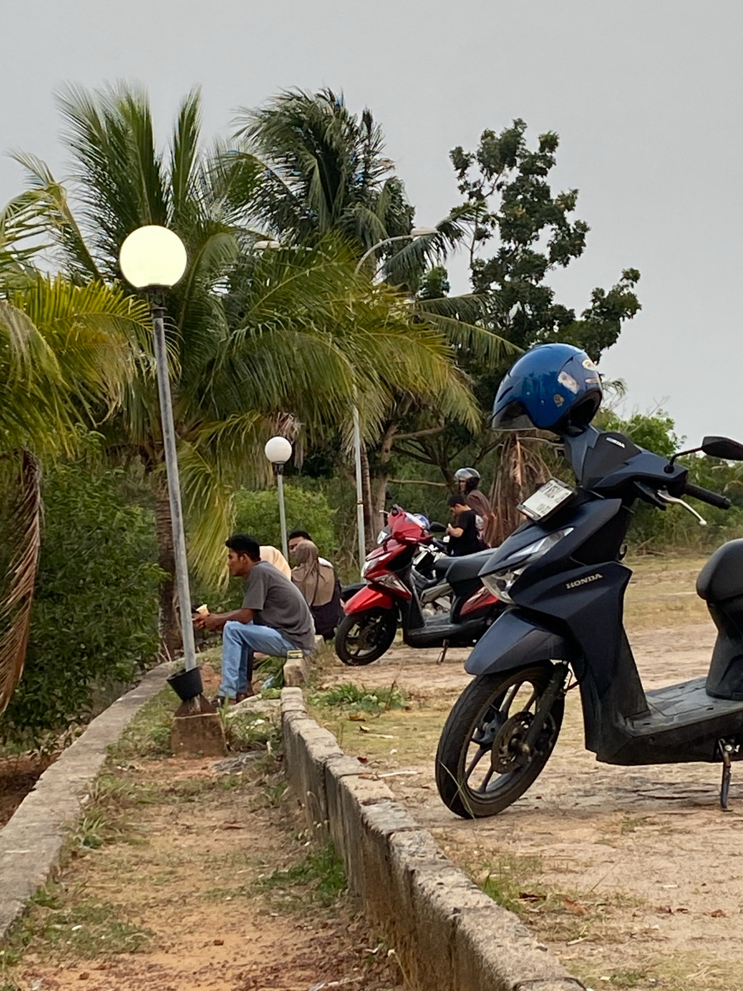 In Tanjung Pinang, Indonesia, a seated man in a gray t-shirt and blue jeans is holding what appears to be a small object, possibly food, while looking to his right. He is positioned on a concrete ledge next to a pathway with some grass and dirt. Behind him, several other people are standing or seated near motorcycles. The environment features lush green foliage, including palm trees, and a cloudy sky. In the foreground, a dark blue Honda scooter is parked, with a blue helmet resting on its handlebars. Another red motorcycle is visible behind it. A lamppost with a white globe is to the left of the man. The scene suggests a relaxed outdoor gathering or stop.