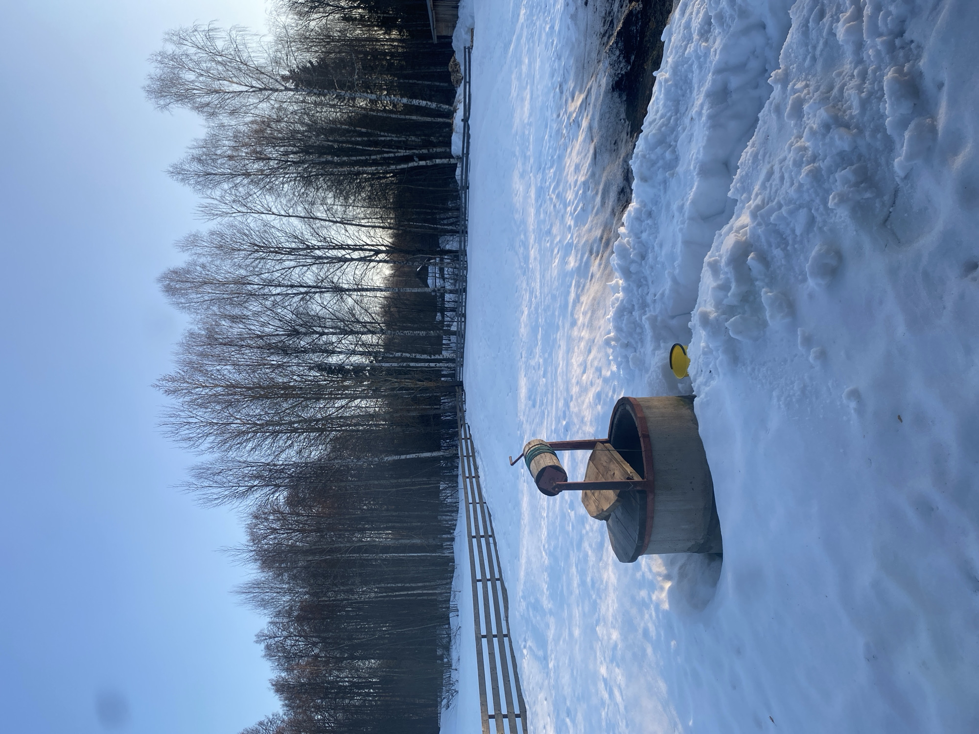 The image depicts a snow-covered rural landscape in Zhigalki, Russia. In the immediate foreground, a concrete well with a wooden frame and a hand-crank mechanism is visible, partially covered by a wooden lid. A green rope is wound around the wooden spindle, extending into the well cavity. A yellow plastic bucket or container rests in the snow adjacent to the well on the right. The ground is extensively covered in white snow, with depressions and disturbed areas observed around the well and across the scene. A multi-rail wooden fence spans the midground horizontally, separating the open snowy field from a dense line of bare deciduous trees, predominantly birches, which define the background. Sunlight casts long shadows across the snow, indicating either morning or late afternoon. A small, dark structure, possibly a building, is partially visible behind the tree line in the far midground on the right. The sky overhead is clear and blue. No individuals are present in the scene.