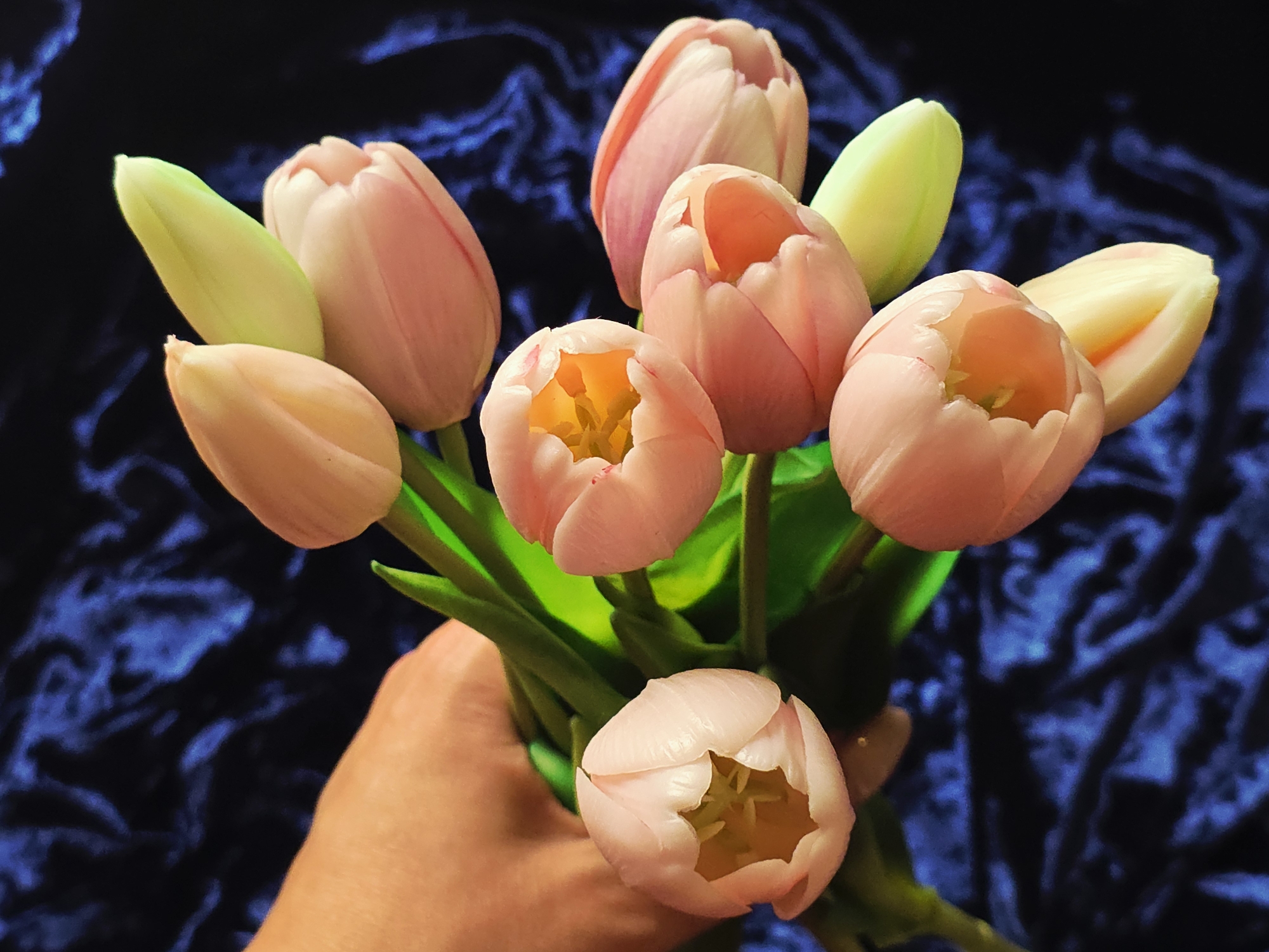 A close-up shot depicts a hand holding a bouquet of pink and pale green tulips. The background is a deep blue velvet-like fabric.
