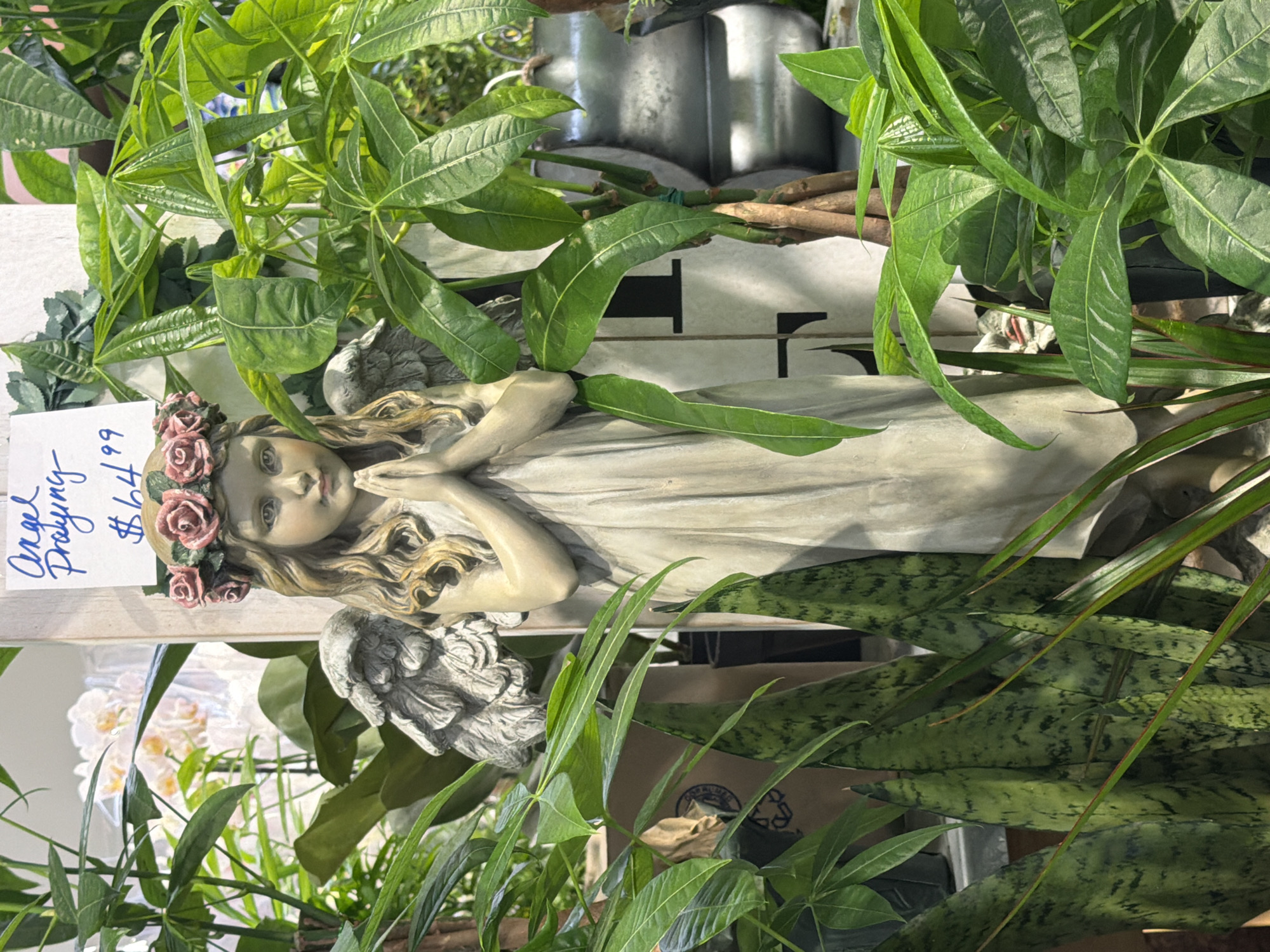 A statue of a young girl with wings and a floral headdress is positioned amongst lush green plants. The statue has its hands clasped in prayer and wears a pale-colored robe. A handwritten sign above the statue reads "Angel Praying $64.99." The background is blurred but suggests an indoor environment with other plants and possibly decorative items, including what appears to be a stack of metal containers. The scene is lit with natural light, casting subtle shadows on the statue and surrounding foliage.