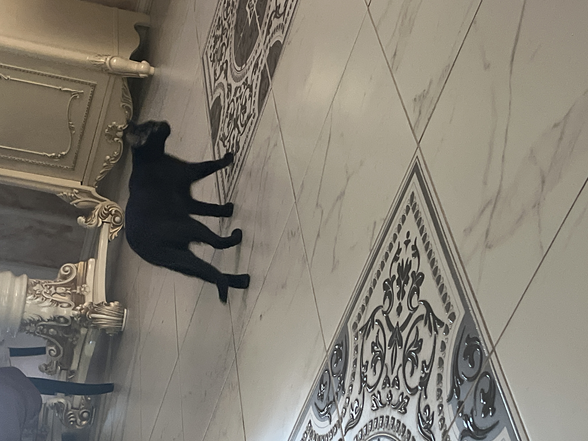 The image shows a black cat standing on a tiled floor in what appears to be a home. The floor is light colored with decorative patterned tiles. The cat is positioned between the decorative tiles and an ornate, cream-colored furniture piece with carved details. The setting is indoors, in a room with decorative architectural elements. The location is reported to be Chaikovsky, Russia.