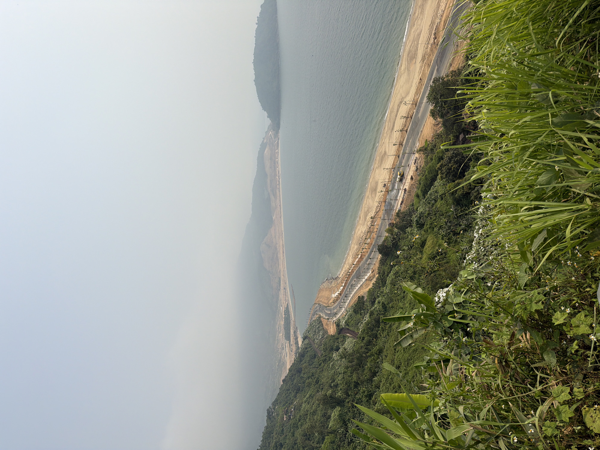 An elevated view shows the landscape of a coastal area in Đà Nẵng, Vietnam. A long stretch of sandy beach borders a body of water that extends to the horizon, obscured by haze. A road runs parallel to the beach, lined with evenly spaced posts. The land slopes down from the foreground towards the beach, covered with dense green vegetation. This vegetation is mostly tall grass and leafy plants. The sky is overcast and hazy, which reduces visibility of distant landmarks.
