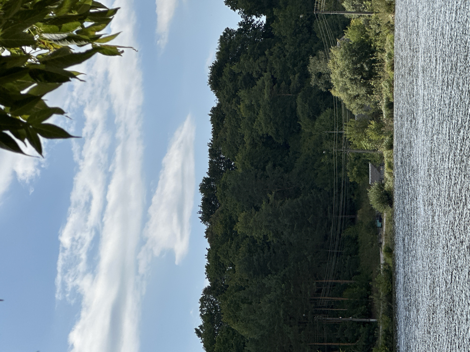 A body of water, likely a river or lake, fills the foreground of the image. The water has a textured, rippled surface, reflecting the light. Beyond the water, a dense forest of dark green trees forms a thick line across the horizon. Above the trees, a bright blue sky is dotted with wispy white clouds. In the upper right corner, the leaves of a tree hang into the frame, silhouetted against the sky. Along the bank between the water and the forest, there are scattered smaller trees and bushes, with some evidence of human activity including utility poles and wires, and a small teal vehicle. The scene appears to be located in the vicinity of Makiv, Ukraine, evoking a natural landscape with subtle signs of infrastructure.