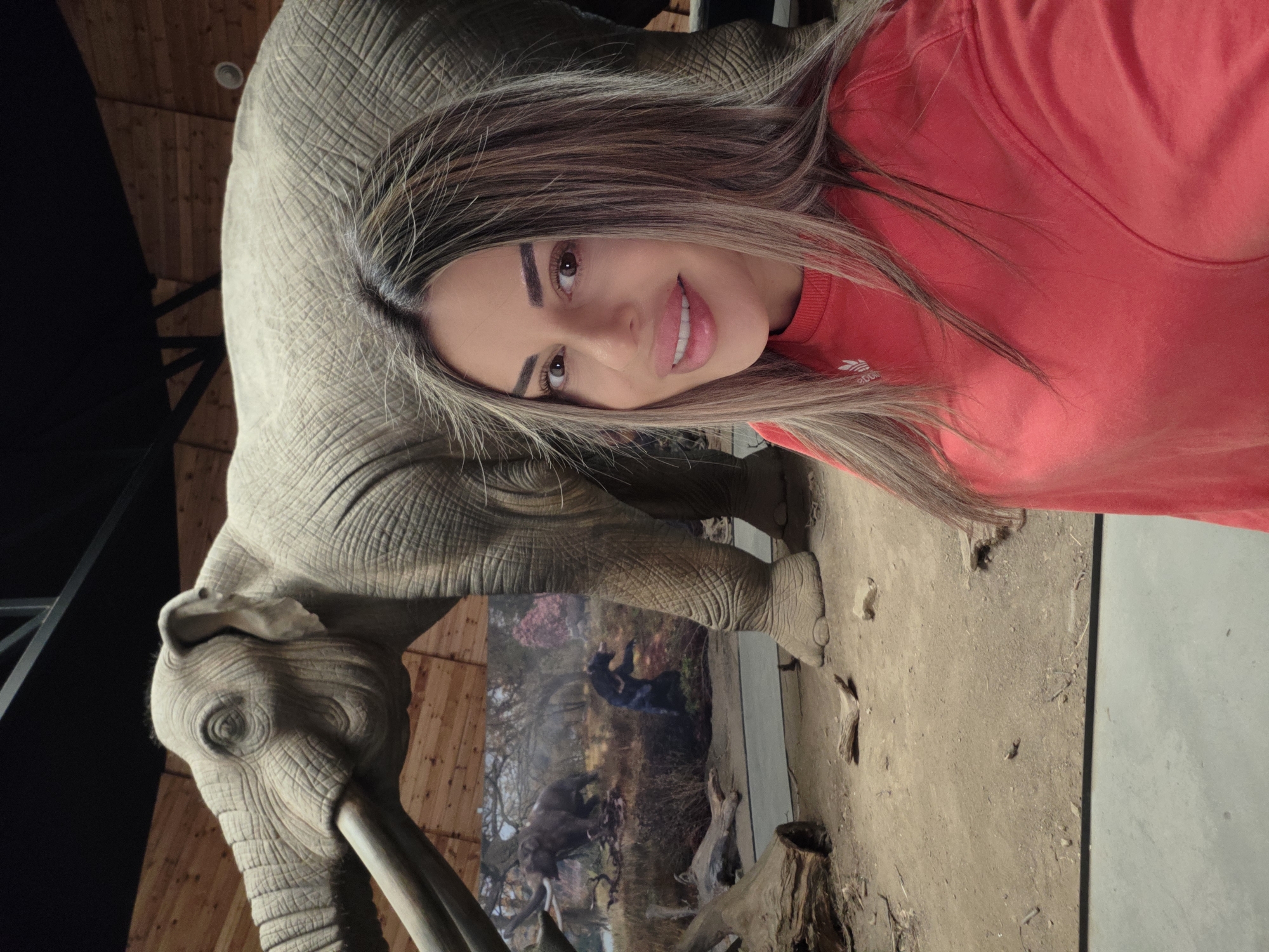 A woman is taking a selfie in front of a diorama of prehistoric elephants. The diorama depicts a scene with two mammoths and a bear in a wooded environment, with a grassy ground. The woman is wearing a red sweatshirt and has long, blonde-brown hair. The background consists of a wooden wall and ceiling, with a dark ceiling structure. The diorama is located in the Dorkovo, Bulgaria paleontological museum.
