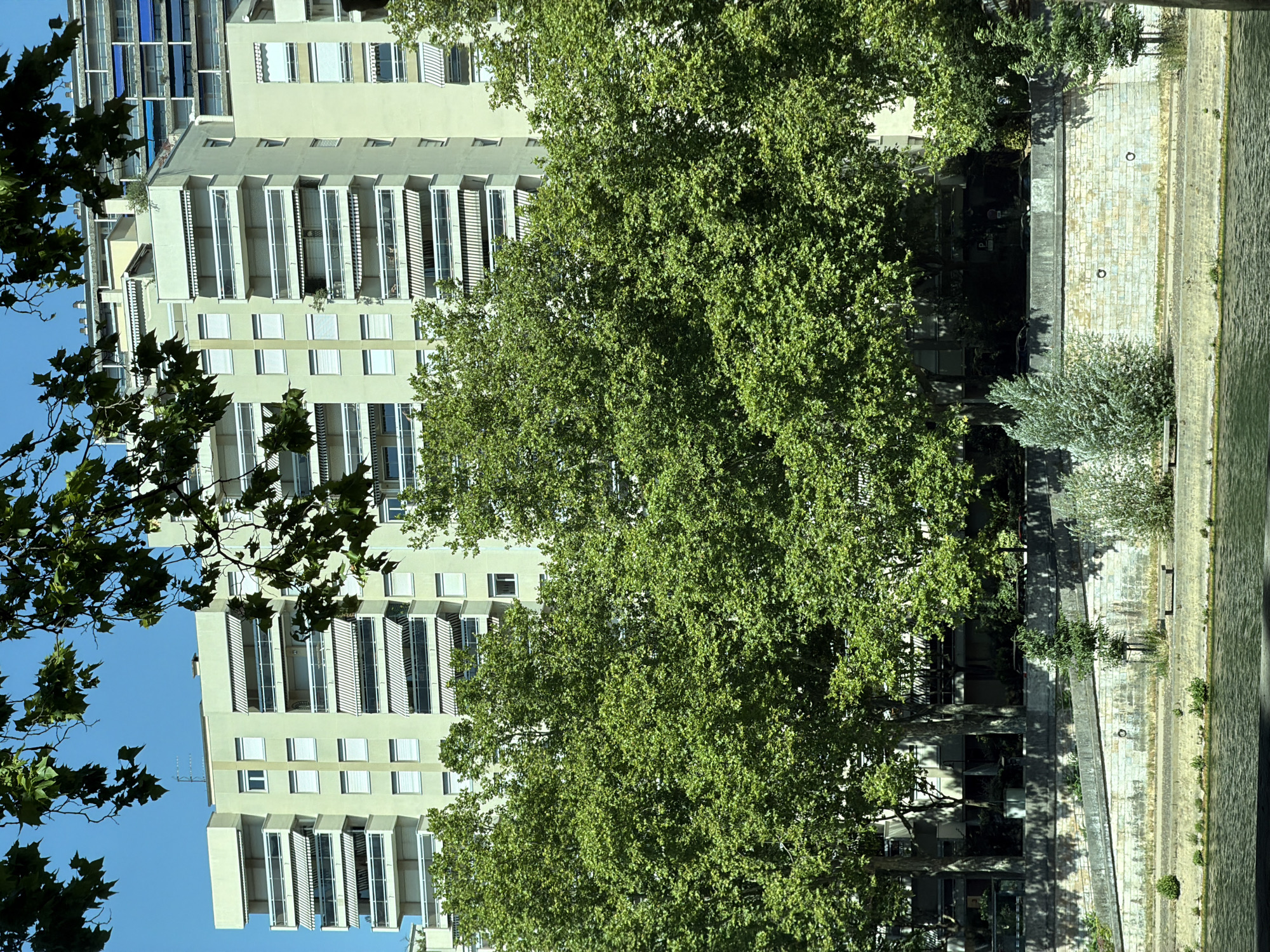 The image shows a view across a body of water towards a large apartment building and a tree-lined embankment in Lyon, France. The apartment building is several stories high with a light green facade, white balconies with glass railings, and numerous awnings. Trees with dense green foliage partially obscure the lower and middle sections of the building. The embankment is constructed of stone blocks and features a walkway with a bench and several small trees and bushes. The water in the foreground is textured with ripples, suggesting a gentle current. The sky is clear and blue.