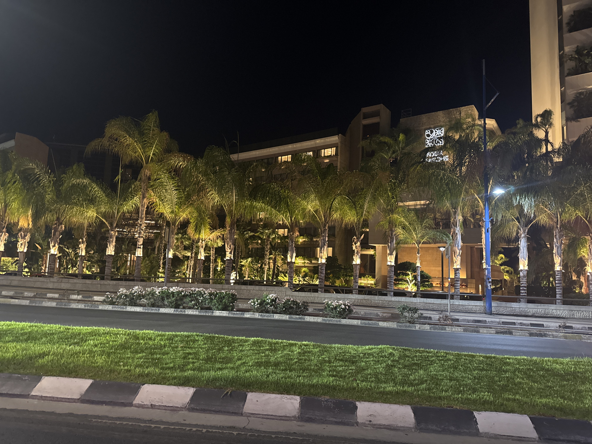 The image captures a nighttime scene of a modern hotel or resort in the Agios Tychona Community, Cyprus. The building, illuminated from within by warm yellow lights, features a contemporary architectural style with multiple levels and balconies. In front of the building, a row of tall palm trees are lit from below, casting dramatic shadows and highlighting their fronds against the dark sky. Between the palm trees and the road, there is a manicured green lawn and a line of flowering bushes in white and pink hues. The road in the foreground is marked with black and white striped curbs and traffic islands. A blue lamppost stands prominently near the center of the frame, illuminating the immediate surroundings. The overall impression is one of a well-maintained and elegant establishment, typical of a tourist destination.