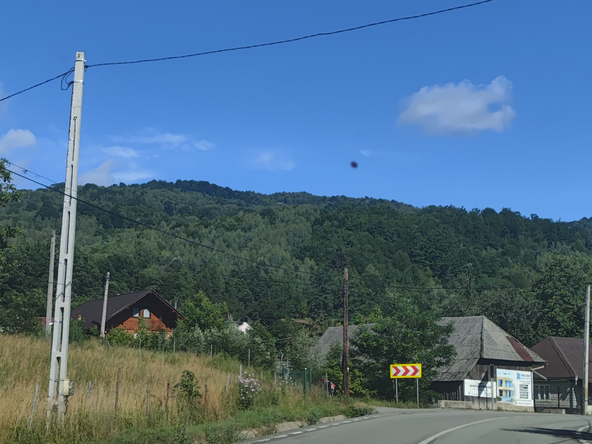This is a wide shot of a rural scene in Leordina, Romania, on a sunny day. The foreground shows a paved road curving to the right. To the left of the road, a tall, grey concrete utility pole stands in a field of dry grass. Behind the pole, a wooden house with a dark roof and a triangular window is partially visible. Further back, a dense, green forest covers a hillside that dominates the background. Several other structures, including a small building with a grey, sloped roof and a billboard, are visible amongst the trees and grass. A yellow and red directional sign is posted near the road, indicating a sharp curve. The sky is a clear blue with a few scattered white clouds. A dark, blurry object is present in the sky, possibly a bird or a lens artifact.