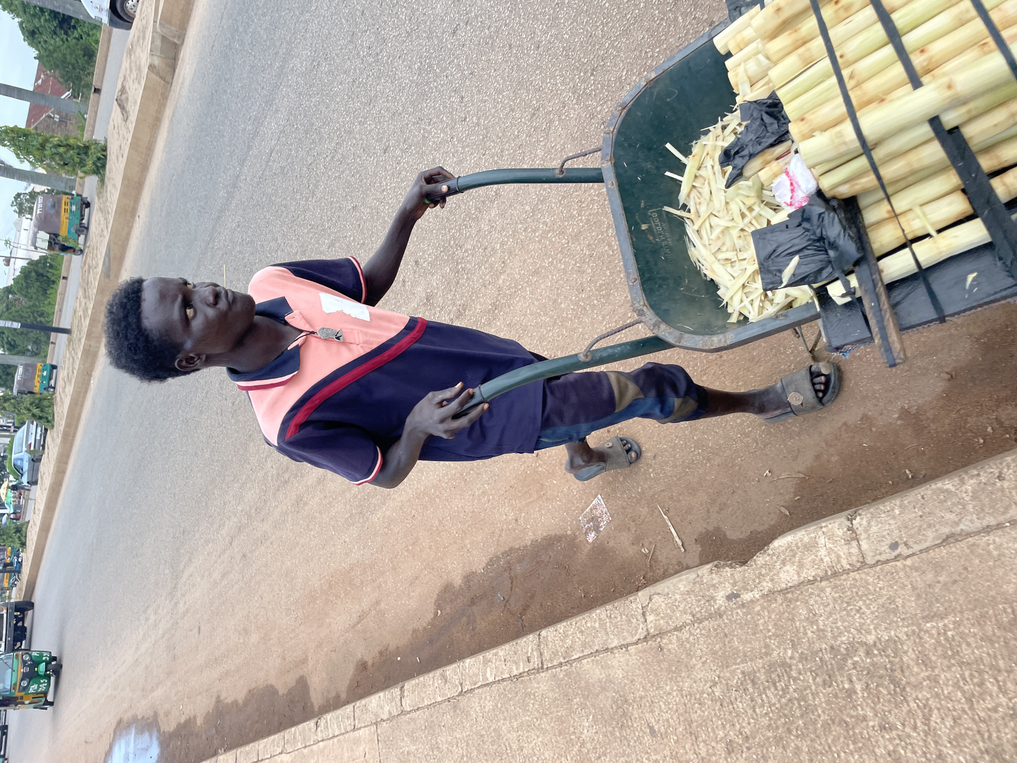 A young Black male walks along a paved road in Jos, Nigeria, pushing a wheelbarrow filled with sugarcane. The wheelbarrow is green and contains chopped sugarcane in the front, and whole stalks of sugarcane packed tightly together in the back, secured by black straps. The man is wearing a navy blue polo shirt with pink and white accents, and patterned pants. He is also wearing dark-colored sandals. The road is dusty and appears to be in a commercial area, with other vehicles visible in the background, including a green auto-rickshaw. The weather appears to be overcast, and the sun is not directly visible.