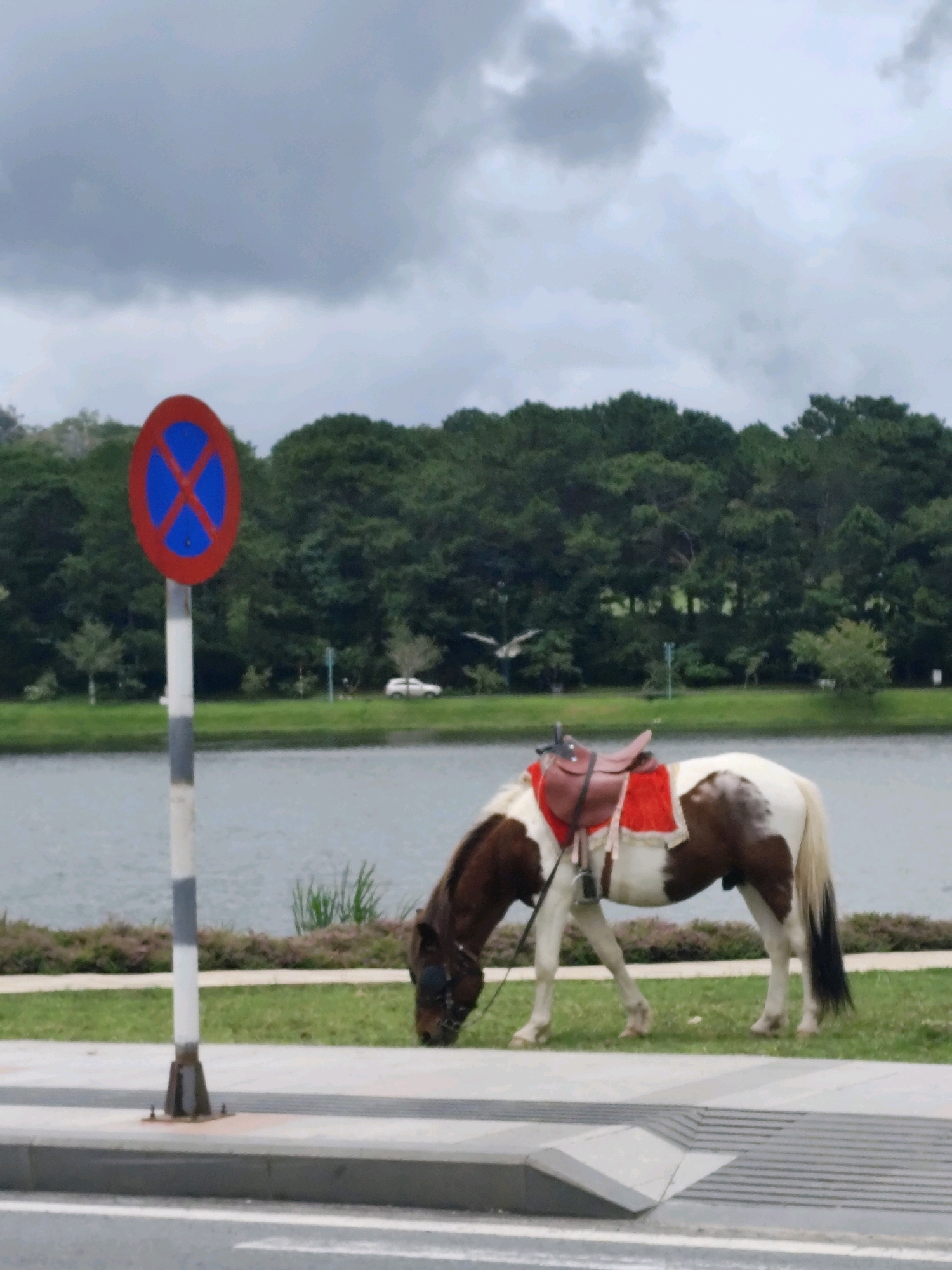The image depicts a brown and white horse grazing in front of a body of water, likely Xuan Huong Lake in Da Lat, Vietnam. The horse is wearing a red saddle pad. To the left of the horse, a traffic sign indicating no parking is visible. The background features lush green trees and a cloudy sky. A white car is parked in the distance. The foreground shows a paved walkway and a road. The scene appears to be an outdoor recreational area.