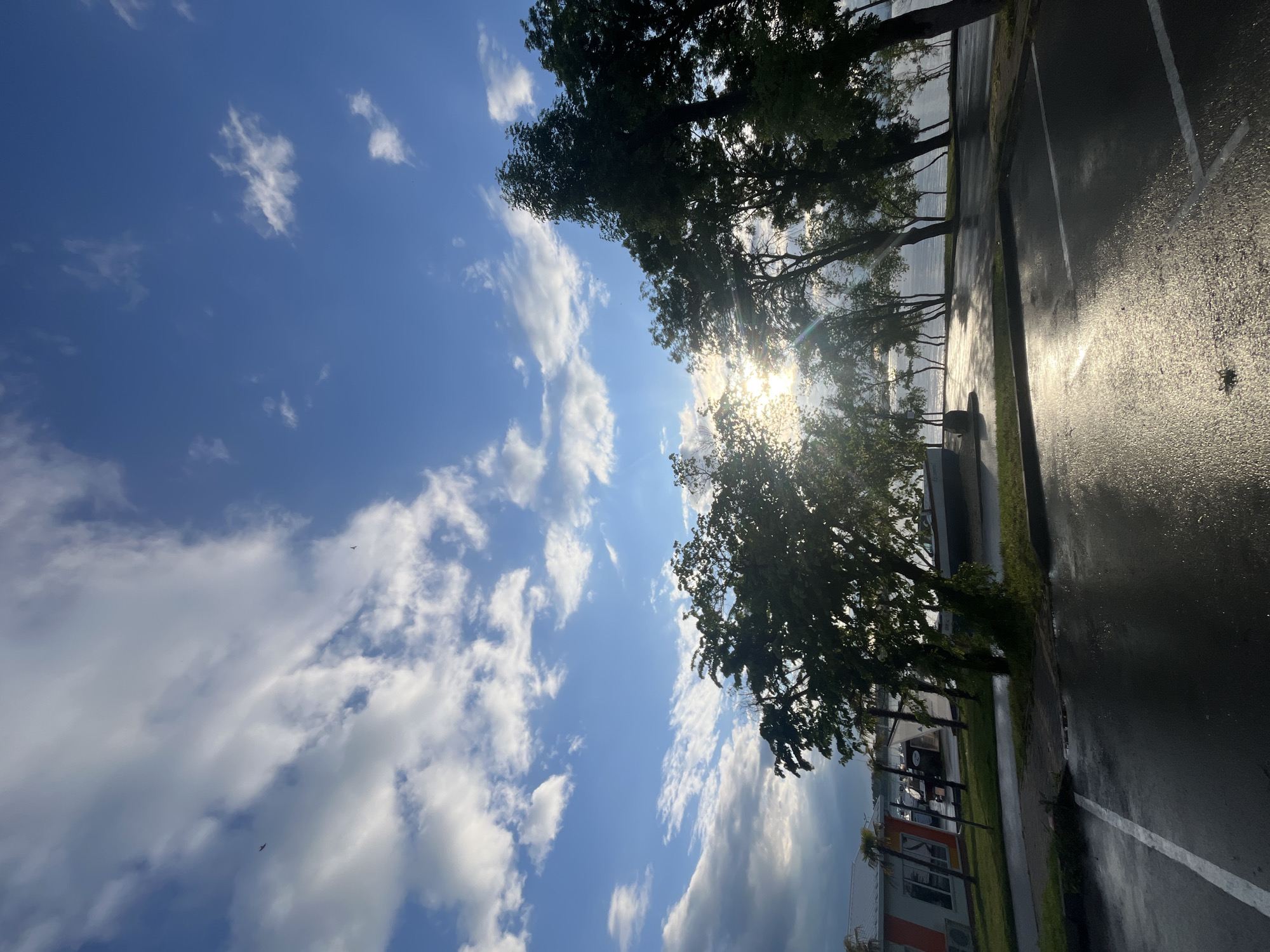 The image depicts a view in Burgas, Bulgaria. A portion of a wet street or parking lot is visible on the right, reflecting sunlight. Trees line the street, with the sun obscured by their foliage, creating a glare. To the left, a vibrant blue sky is interspersed with white, puffy clouds. In the lower left corner, the top of a building with orange and white accents is visible. The scene appears to be a waterfront or lakeside view.
