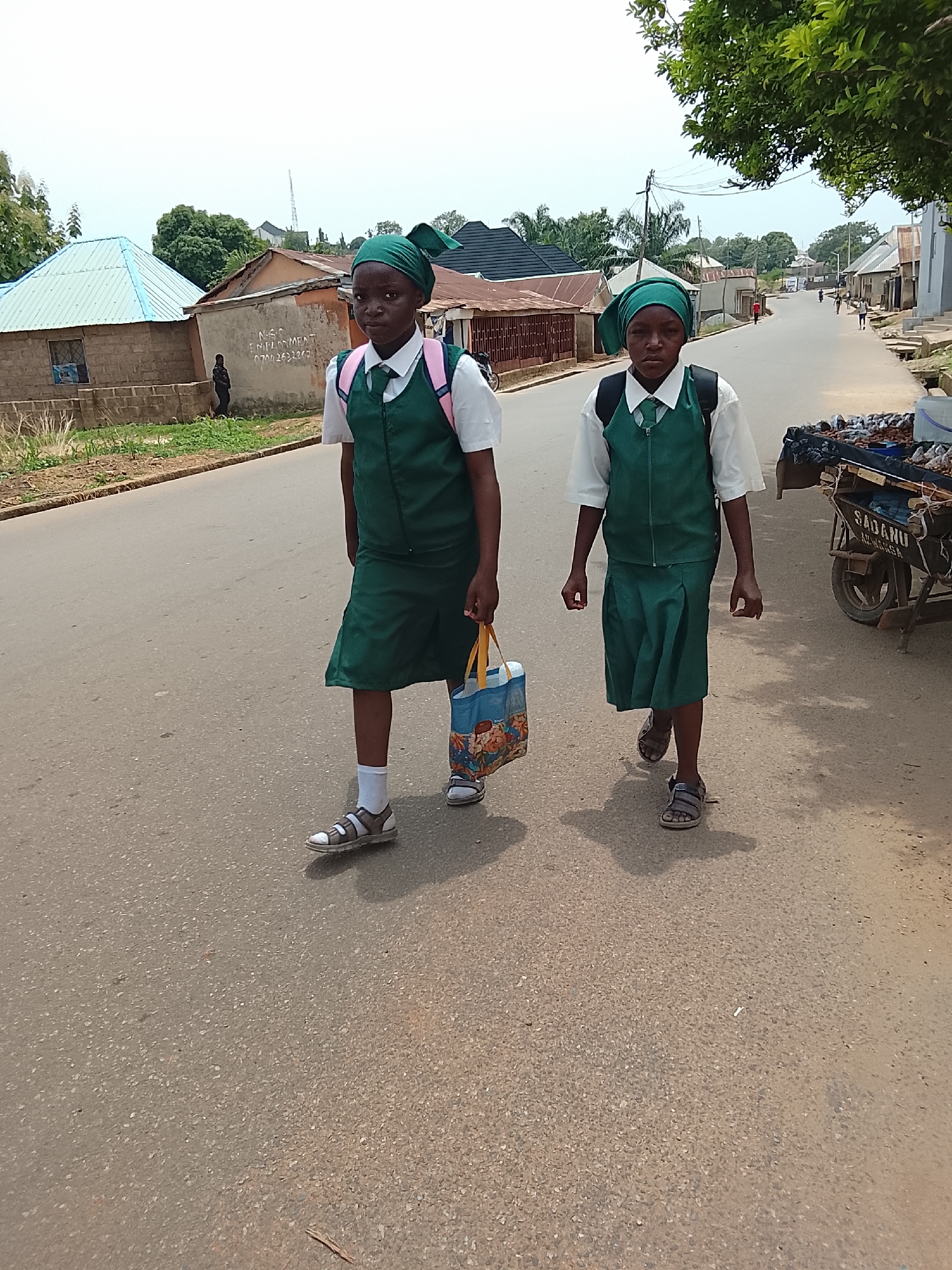 Two young girls, dressed in green and white school uniforms, walk down a paved road in Akwanga, Nigeria. The sky above is bright but hazy or overcast, suggesting daytime, possibly mid-morning or afternoon, as evidenced by moderate shadows on the ground.
The girl on the left wears a white long-sleeved shirt under a green vest and a green pleated skirt. Her head is covered with a green scarf or bandanna, and she carries a pink backpack and a colorful blue, yellow, and red tote bag. She wears white socks and brown-strapped sandals. Her expression is neutral as she looks towards the viewer.
The girl on the right is similarly dressed in a white shirt, green vest, and green pleated skirt, with a green head covering. She wears a black backpack and sandals without socks. Her gaze is directed slightly forward and to the left, with a serious expression.
The setting appears to be a residential or semi-urban area. Along the left side of the road, various single-story buildings are visible, some with corrugated metal roofs (one light blue, others reddish-brown) and unpainted concrete block walls. A person in dark clothing stands near one of these buildings in the distance. On a wall behind the first girl, faint text reads "N.S.C. EMPLOYMENT" followed by a phone number "0700 2632263".
On the right side of the road, closer to the foreground, a wooden vendor cart with a metal frame is parked. It is filled with small, dark items, possibly local produce or snacks. The text "SADANU" and "Akwanga" is clearly visible on the side of the cart, confirming the location. Further down the street, more buildings and scattered individuals are visible, with trees and utility poles lining the road. The overall scene captures an everyday moment of school children commuting in a local community.