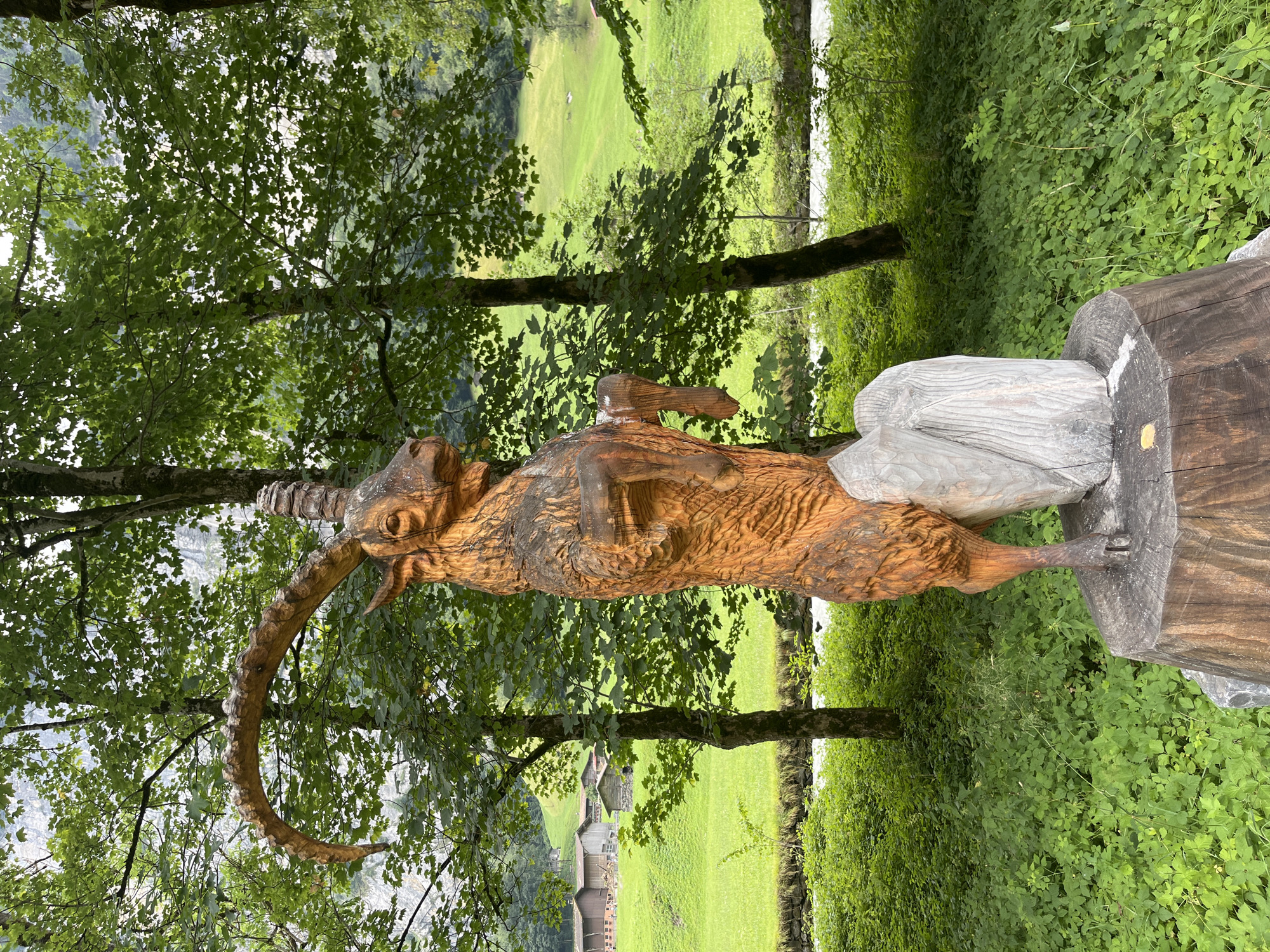 A wooden sculpture of an ibex stands on a tree stump in the foreground. The ibex is carved to appear as if it is standing on its hind legs, with its front legs raised. The sculpture is detailed, with visible wood grain and texture. Behind the sculpture, a lush green meadow slopes upwards, dotted with traditional Swiss chalets. A small river flows through the scene, and dense green trees line the background. The overall impression is of a serene and picturesque mountain landscape. The scene is located in Wengen, Switzerland.