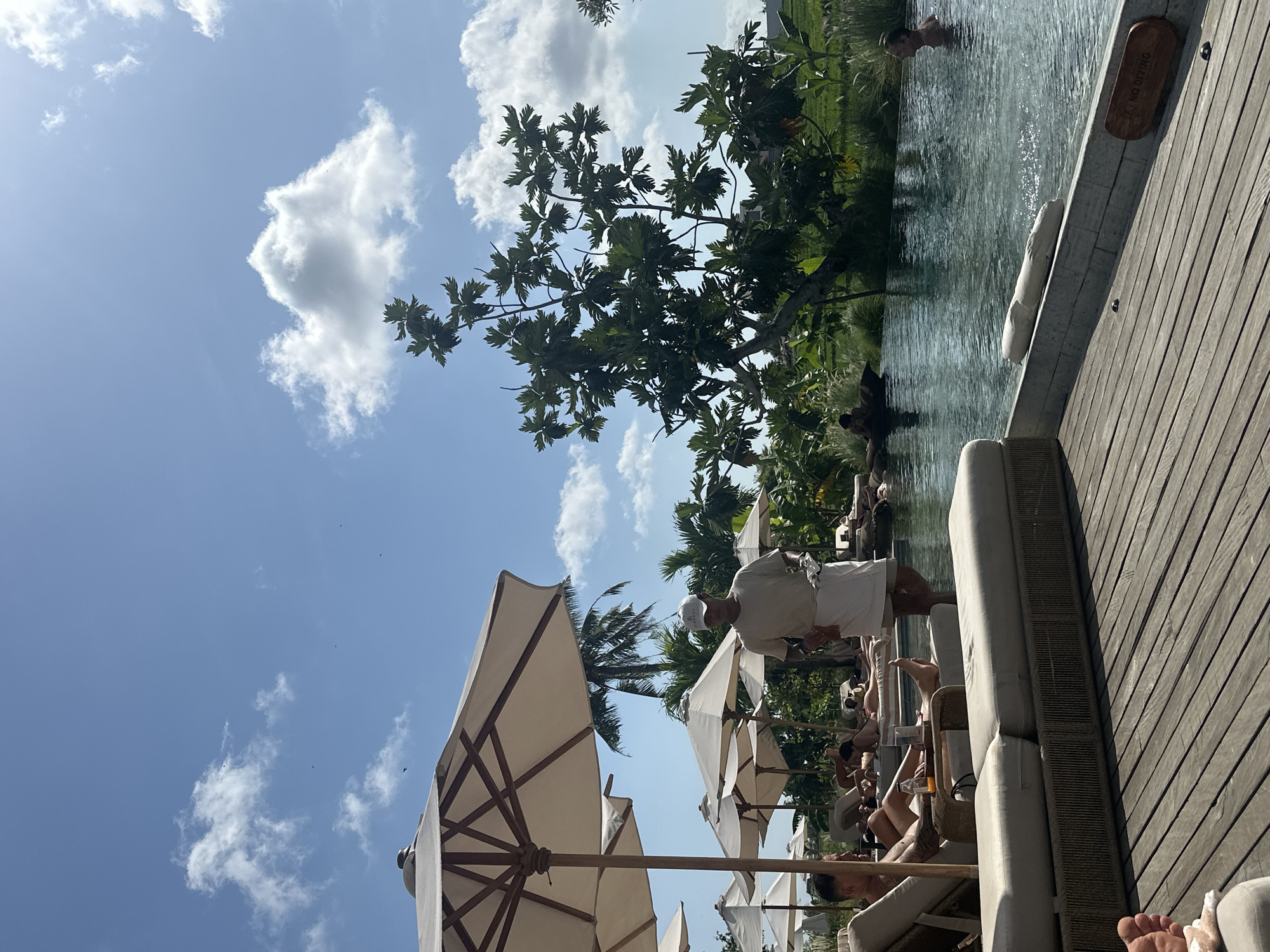 The image depicts a sunny day at a resort-like location. In the foreground, a wooden deck is visible, leading to a swimming pool. Several lounge chairs with beige cushions are arranged on the deck, some occupied by people relaxing. One person is seen sitting in a lounge chair with a drink and a book. A waiter, wearing a light-colored shirt and cap, is walking across the deck carrying a white cloth. The swimming pool is clear and inviting, with some people visible in the water. Lush green vegetation, including palm trees and a large leafy tree, surrounds the pool area. The sky is blue with scattered white clouds. A "No Diving" sign is affixed to a concrete edge by the pool. The overall atmosphere suggests a leisurely vacation setting.