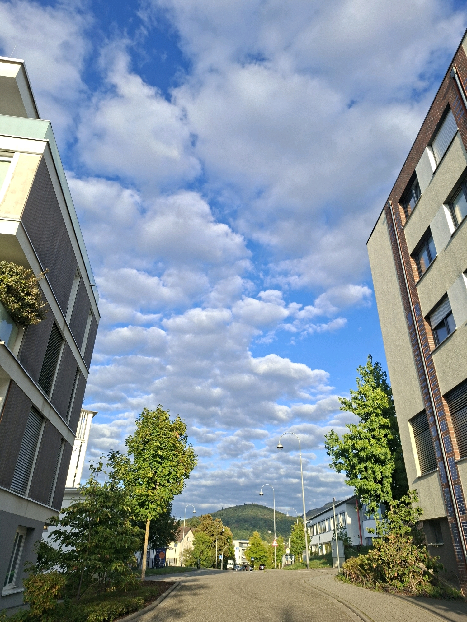 The image depicts a street scene in a modern urban environment. On the left, a multi-story building with a grey facade and horizontal window louvers dominates the foreground. To the right, another contemporary building with a light grey facade and brick accents is visible. The street itself is paved and curves gently into the distance, lined with trees and sidewalks. In the background, houses and more buildings can be seen, with a tree-covered hill rising behind them. The sky is a bright blue, dotted with fluffy white clouds. The lighting suggests it is daytime, possibly late afternoon, with some shadows cast by the buildings and trees. There are no people or vehicles clearly visible in the frame.