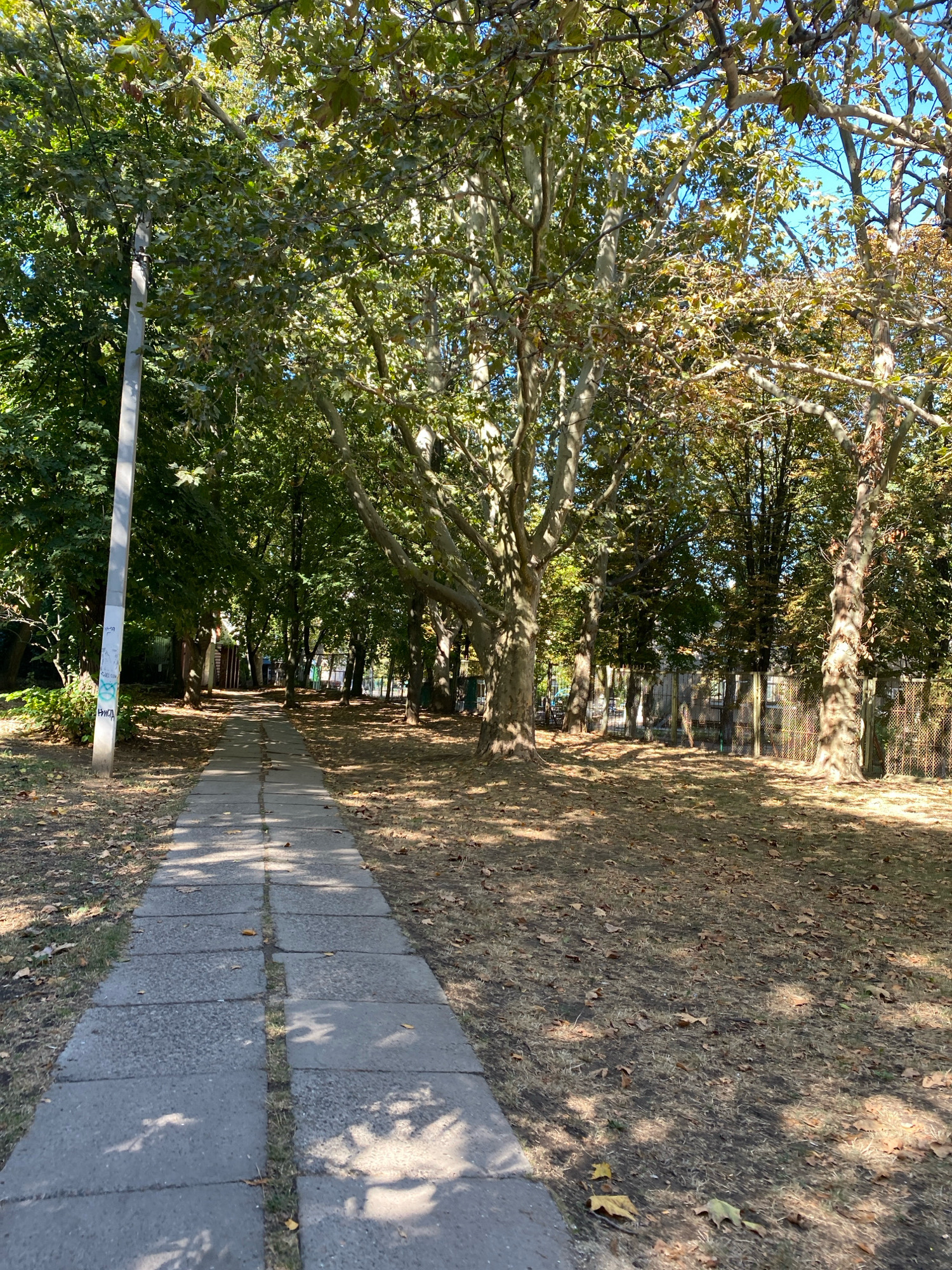 The image depicts a pathway in a park or residential area in Chornomorsk, Ukraine. A concrete path, composed of rectangular slabs, extends into the distance, bordered by dry grass and fallen leaves. Tall trees with dense foliage, some displaying hints of autumn colors, flank the path on both sides, casting shadows across the ground. A lamppost stands on the left side of the path, near the foreground. In the background, a fence with an intricate mesh pattern is visible, separating the park area from what appears to be a building or residential property. The sky is clear and blue. There are no people or animals visible in the scene.