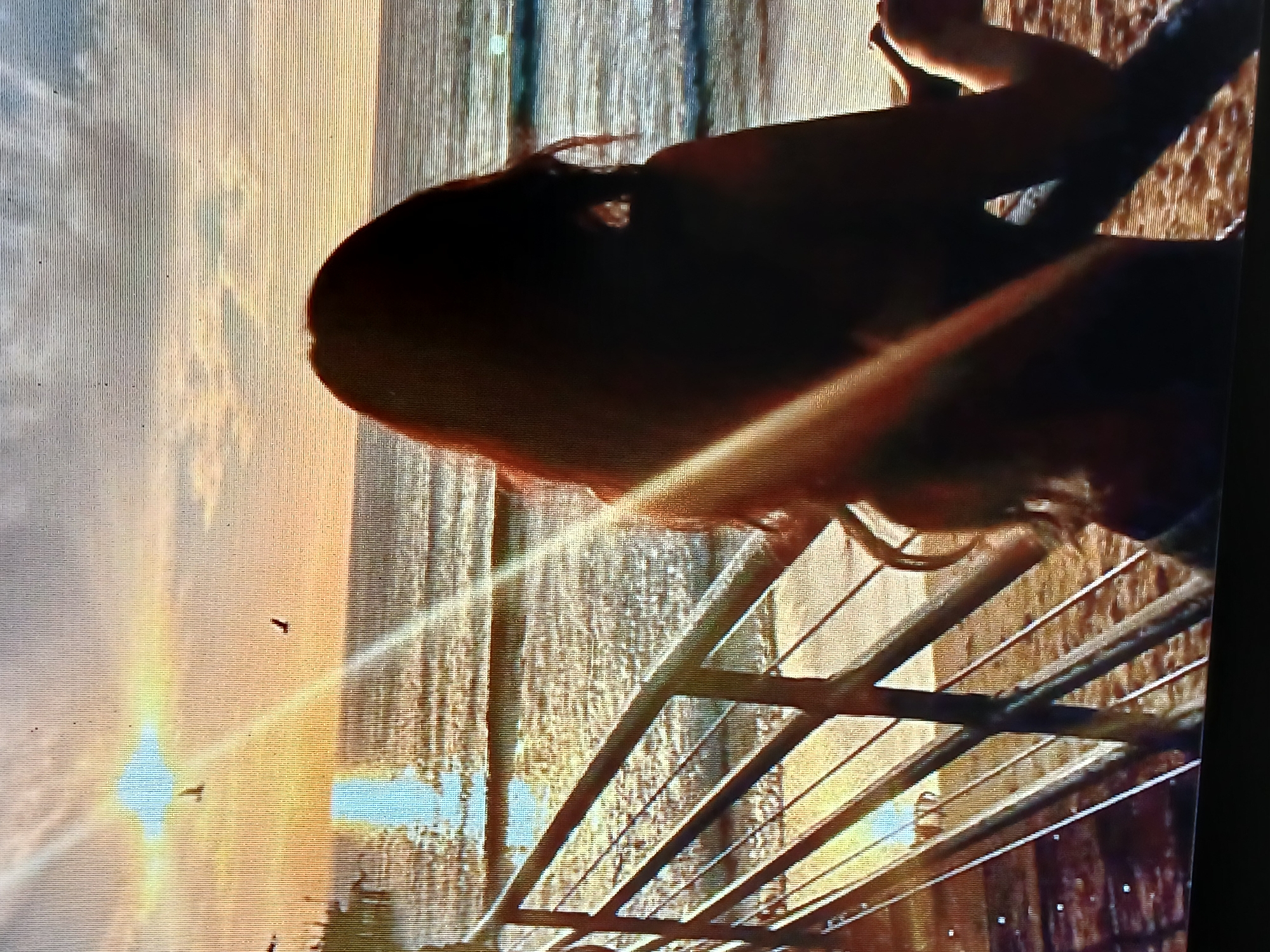 A person with long, dark hair is leaning over a railing overlooking a body of water with a vibrant sunset. The railing consists of several horizontal metal bars. The scene is bathed in the warm glow of the setting sun, which is visible as a bright spot on the horizon and reflects off the water. The exact location in Juan Griego, Venezuela, cannot be determined with certainty from the image alone.