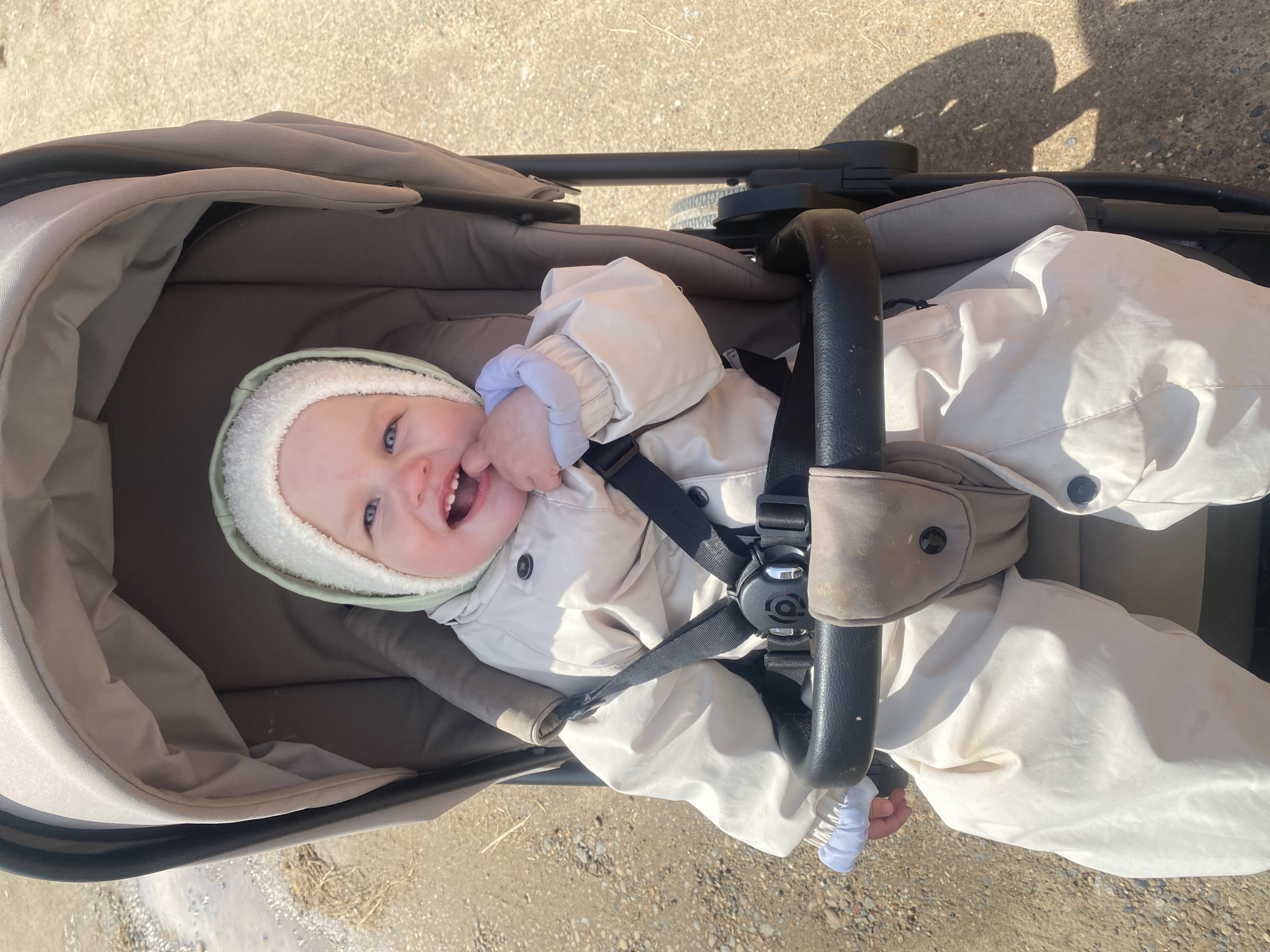 An overhead shot captures a joyful baby lying in a light brown stroller outdoors. The baby, with striking blue eyes and a wide, toothy smile, is dressed warmly in a cream or light beige full-body snowsuit and a light green hooded hat with fluffy white trim. A black safety harness, featuring a small white circular logo on its buckle, secures the baby. A small white object, possibly a toy or pacifier clip, hangs near the baby's right hand. The stroller has a black metal frame and handle in the foreground. The setting is a sunlit outdoor area, likely a path or unpaved ground, composed of dirt, gravel, and some dry plant matter. Strong shadows are cast on the ground, indicating bright daylight, possibly mid-morning or afternoon. The baby's bundled attire suggests cool weather, aligning with the location context of Chaikovsky, Russia. The overall mood of the image is cheerful and content, highlighted by the baby's beaming expression.