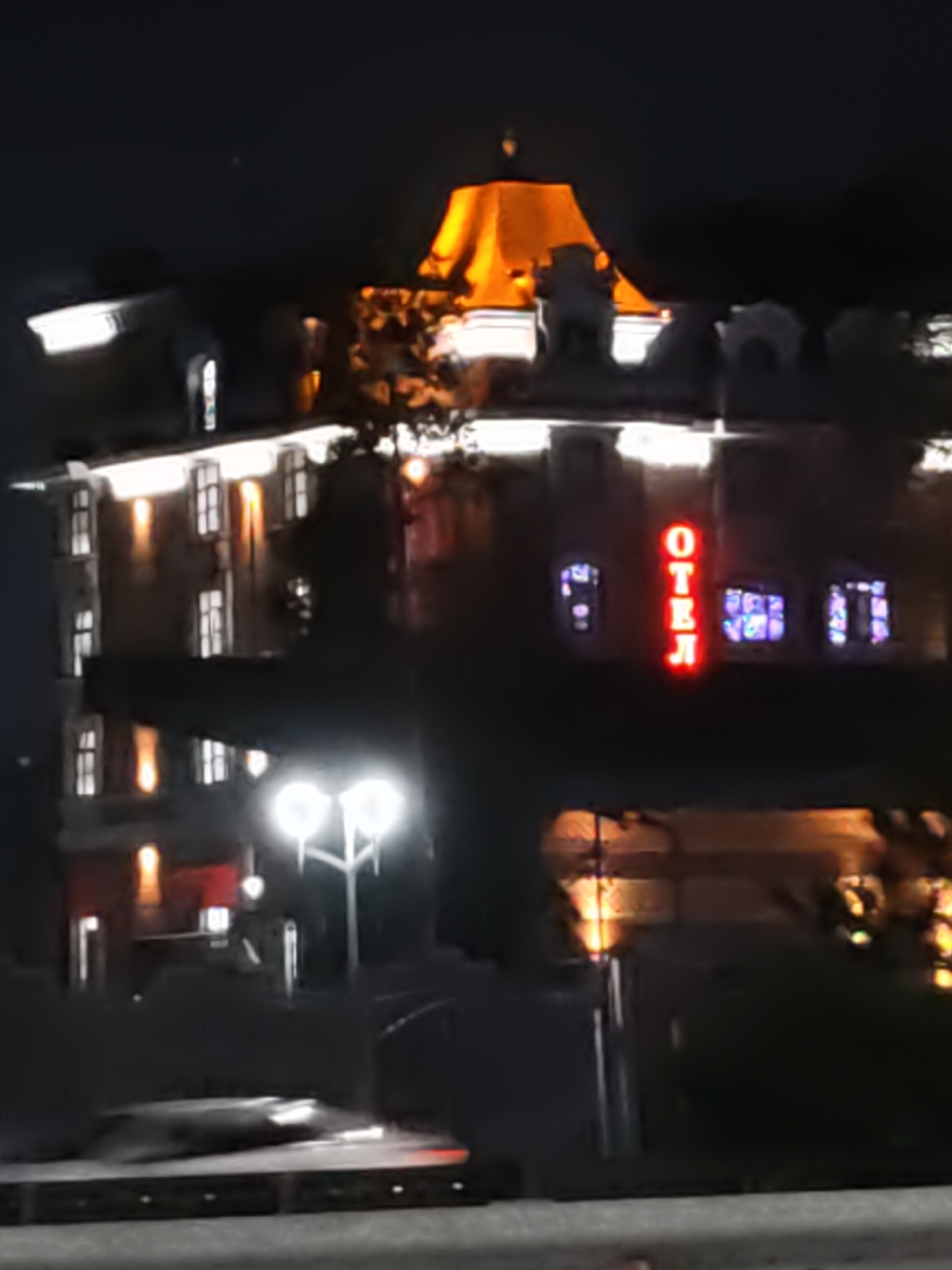 The image depicts a nighttime view of a hotel building in Rostov-on-Don, Russia. A prominent red neon sign spelling "ОТЕЛЬ" (Hotel in Russian) is visible on the facade. The building has multiple stories with illuminated windows, suggesting occupancy. In the foreground, there are streetlights and what appears to be a dark, silhouetted structure, possibly a bus stop or a street furniture element. The overall scene is dimly lit, with artificial lighting from the building and streetlights illuminating the immediate surroundings. The focus of the image is the hotel and its signage, with the rest of the environment being less detailed due to the low light conditions.