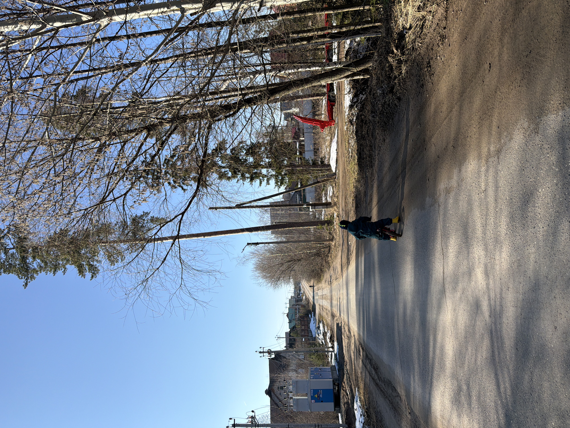 The image depicts a person riding a bicycle on a paved road in the city of Chaikovsky, Russia. The road is flanked by bare trees on one side and houses and snow patches on the other. Power lines are visible along the street. The sky is clear blue. The person is wearing a dark jacket and riding the bicycle in the direction of the vanishing point of the road. A red object is visible in the background near a house.