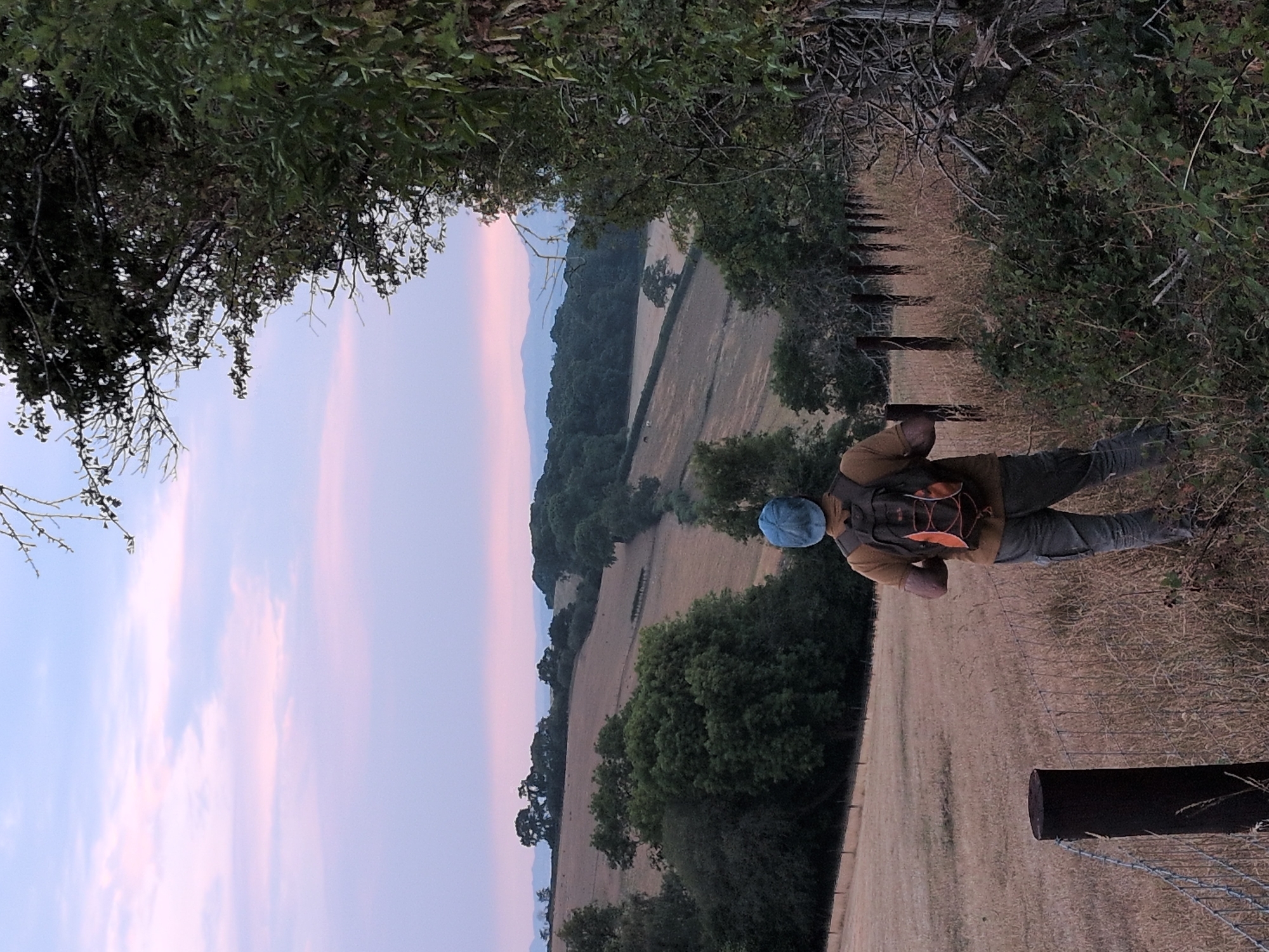 A lone hiker wearing a blue cap and a backpack pauses on a grassy incline, overlooking a rural landscape at dusk. The sky is painted with soft pink and lavender hues, indicative of twilight. Below, rolling hills are covered in fields of dry, golden grass, interspersed with scattered trees and patches of darker green foliage. A line of wooden fence posts runs along the middle ground, dividing the fields. In the distance, a hazy mountain range stretches across the horizon. The foreground features dry grass and a wooden fence post. The scene suggests a quiet moment of contemplation during an outdoor excursion in the countryside.