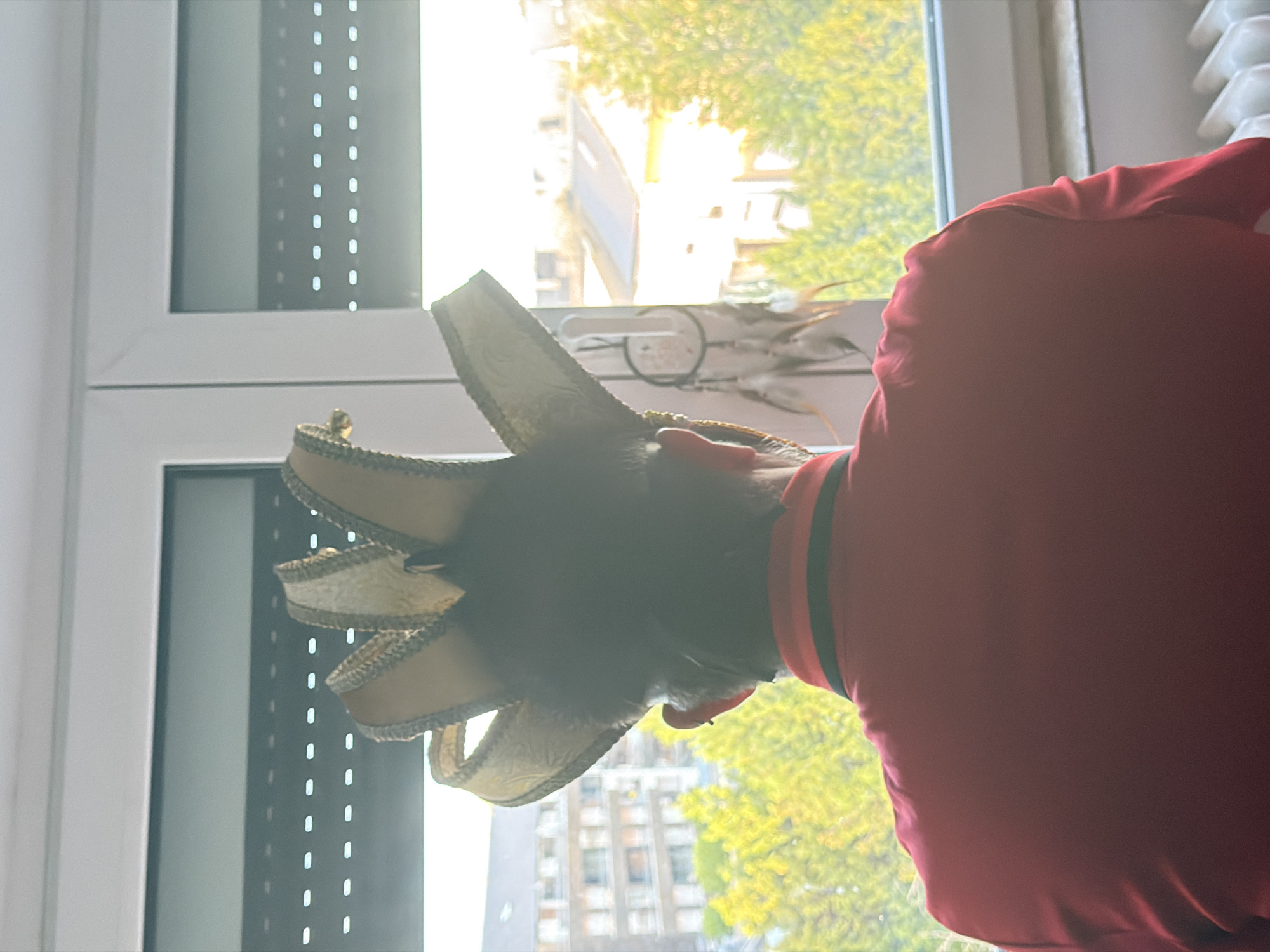 An individual wearing a red shirt and a jester-like hat stands facing away from the camera, looking out a window. The window overlooks an urban environment with buildings and trees, bathed in warm, bright sunlight. A dreamcatcher hangs on the wall near the window. The scene appears to be indoors in a residential setting within Esch-sur-Alzette, Luxembourg.