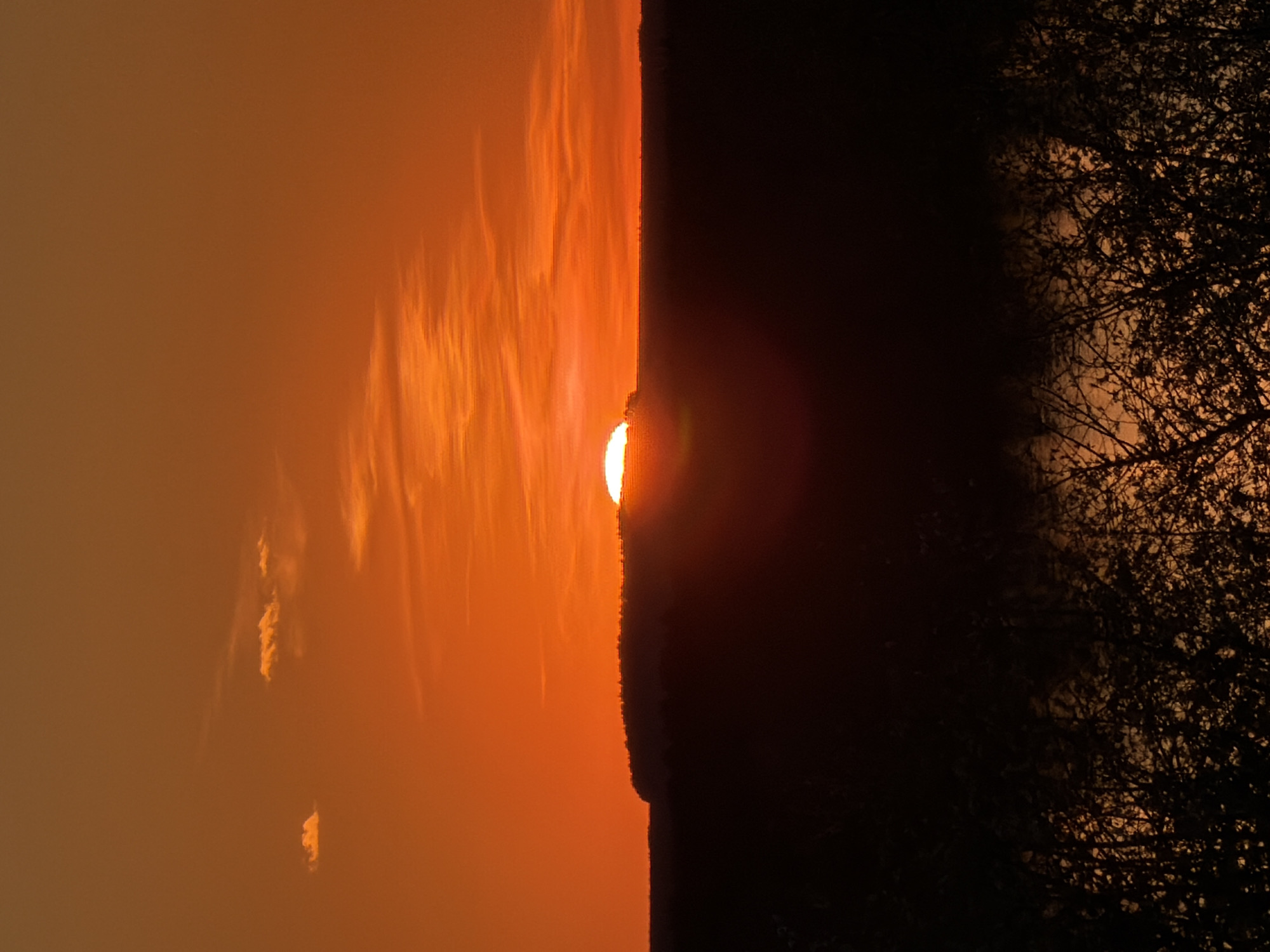 The image captures a sunset in what appears to be a rural or park-like area of Chaikovsky, Russia. The sun is partially obscured by the horizon, with orange and red hues dominating the sky. The left side of the image shows the bright sky, transitioning into darker, shadowy forms on the right, which seem to be foliage or trees silhouetted against the fading light. No people are visible. The environment suggests a peaceful, natural setting.