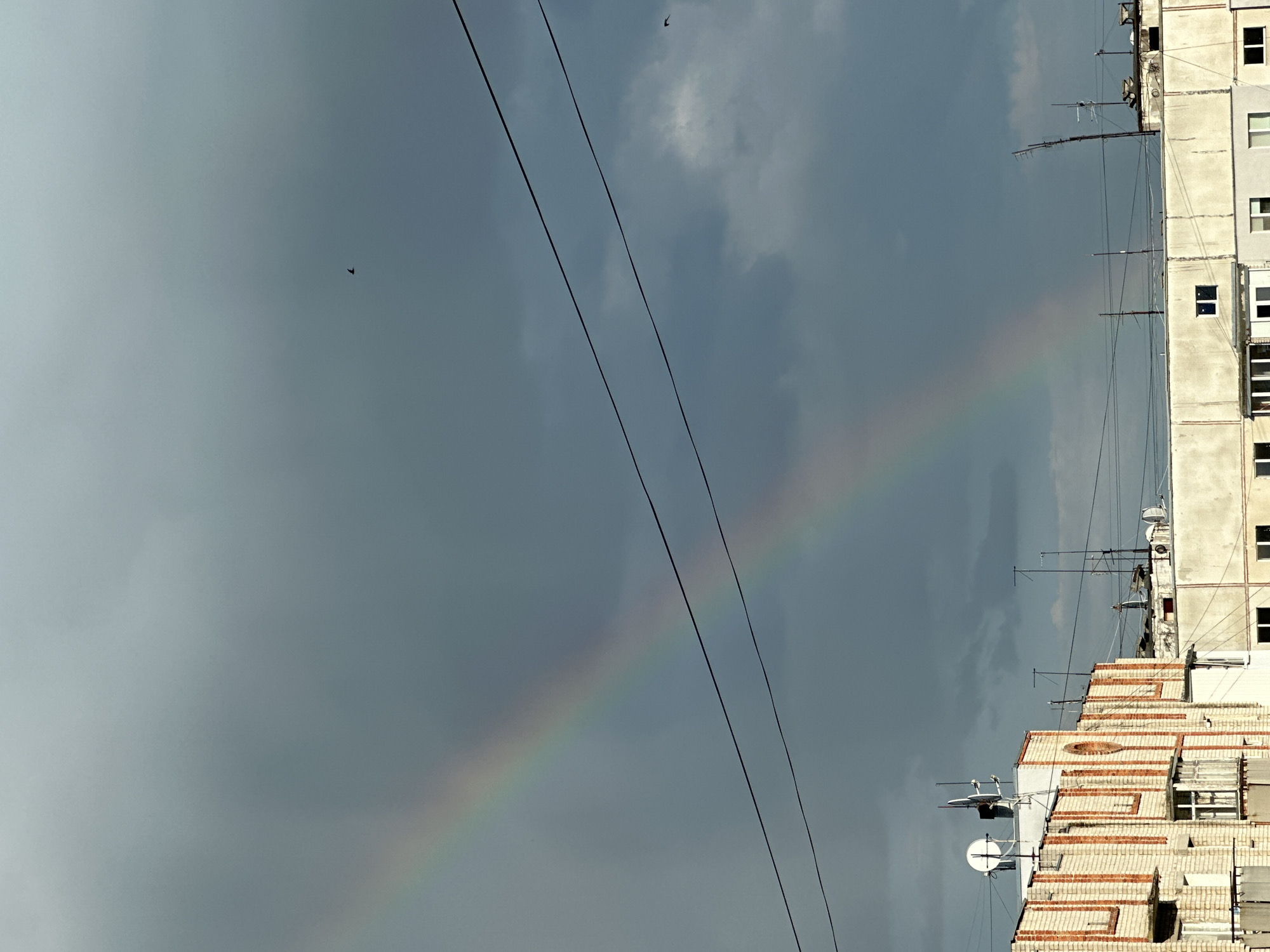 A rainbow arcs across a cloudy sky above a city. The sky is a dark, overcast gray, with lighter patches of clouds. A faint rainbow is visible in the upper left quadrant of the image, its colors muted by the overcast conditions. Two dark wires are stretched horizontally across the sky. In the distance, a dark silhouette of a bird is visible in the upper right quadrant. Below the sky, the tops of several multi-story buildings are visible. The buildings are constructed of brick and concrete. Some have exposed brickwork with orange detailing. Multiple antennas and satellite dishes are mounted on the roofs of the buildings. The scene appears to be an urban environment, likely after a rain shower, given the presence of the rainbow.