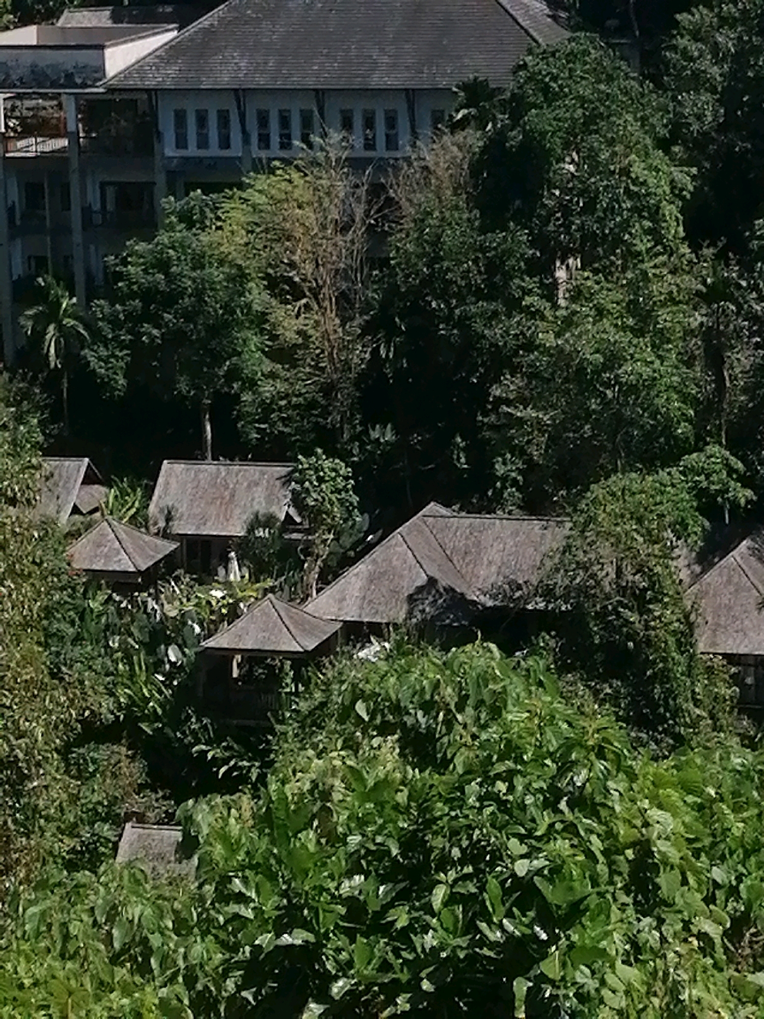 The image shows a dense, tropical environment with several buildings nestled within lush vegetation. In the background, a large, multi-story building with a dark, sloped roof is visible, featuring rows of windows. In the midground and foreground, smaller structures with thatched roofs, resembling bungalows or pavilions, are scattered among the trees and foliage. Some of these smaller buildings have open-air elements or verandas. The vegetation is predominantly green and appears to be tropical rainforest, with a variety of trees, palms, and leafy undergrowth. The scene suggests a resort or residential area in a tropical location, possibly the Ubud District of Indonesia, given the architectural style and vegetation. No people are clearly visible in the image.