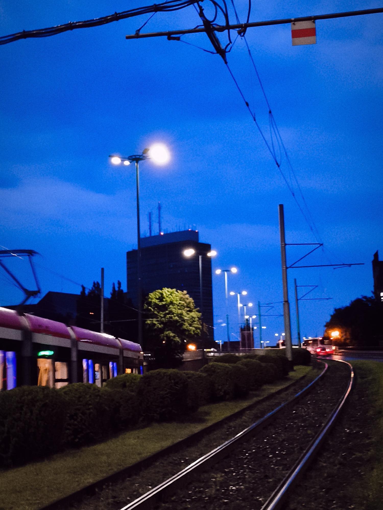 This is a low-light, eye-level, full-shot photograph taken at dusk in the city of Gdańsk, Poland. The image captures a tram moving along a track, illuminated by the bright lights of the tram itself and surrounding streetlights and buildings. The sky is a deep blue, indicating the transition from day to night.
In the foreground, a tram with a pink and white exterior and illuminated blue and yellow interior lights is in motion on the left side of the frame. The tram tracks run diagonally from the bottom left to the bottom right of the image. To the right of the tram tracks is a strip of grass and then a line of dark green bushes.
In the middle ground, a tall, dark building with illuminated windows stands prominently. In front of this building, a lush green tree is visible, and several streetlights cast bright pools of light. Beyond the tree and building, more streetlights are visible, as are silhouettes of other buildings and trees.
In the background, overhead wires for the tram system are strung across the top of the frame, supported by poles. A small red and white sign is attached to one of the wires. The sky is a consistent deep blue. The overall impression is of an urban scene at twilight, with the artificial lights of the city beginning to dominate the fading natural light.