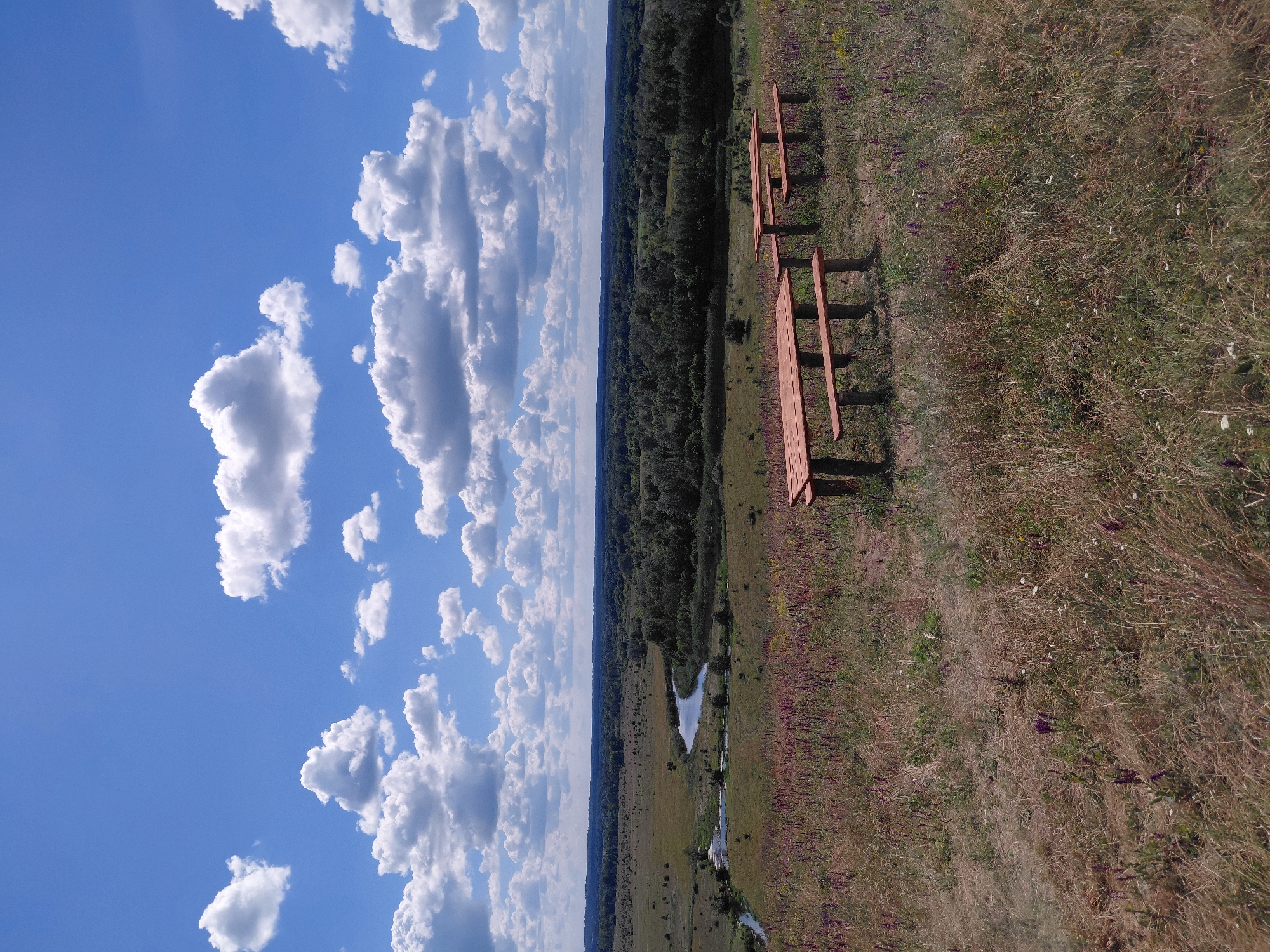A wide shot captures a landscape scene with a blue sky filled with scattered white clouds. In the foreground, two wooden picnic tables with benches are set up on a grassy hillside dotted with purple flowers. The middle ground features a winding river flowing through a green, wooded valley. The background consists of a dense forest stretching to the horizon under the vast sky. The image appears to be taken on a clear, sunny day, possibly in a rural or natural park setting.